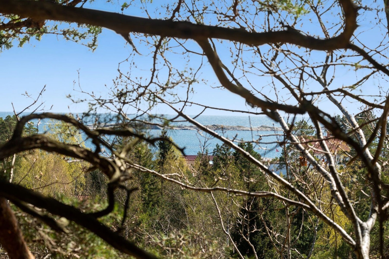 Havutsikten fra parsellen med utsikt. Galleribilde