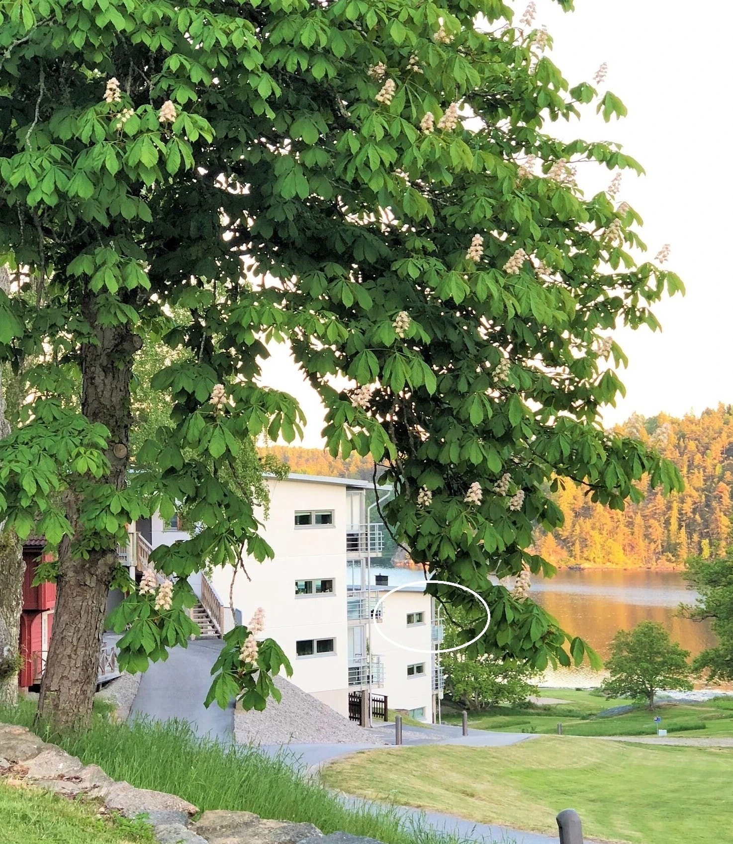 Beliggenhet Galleribilde