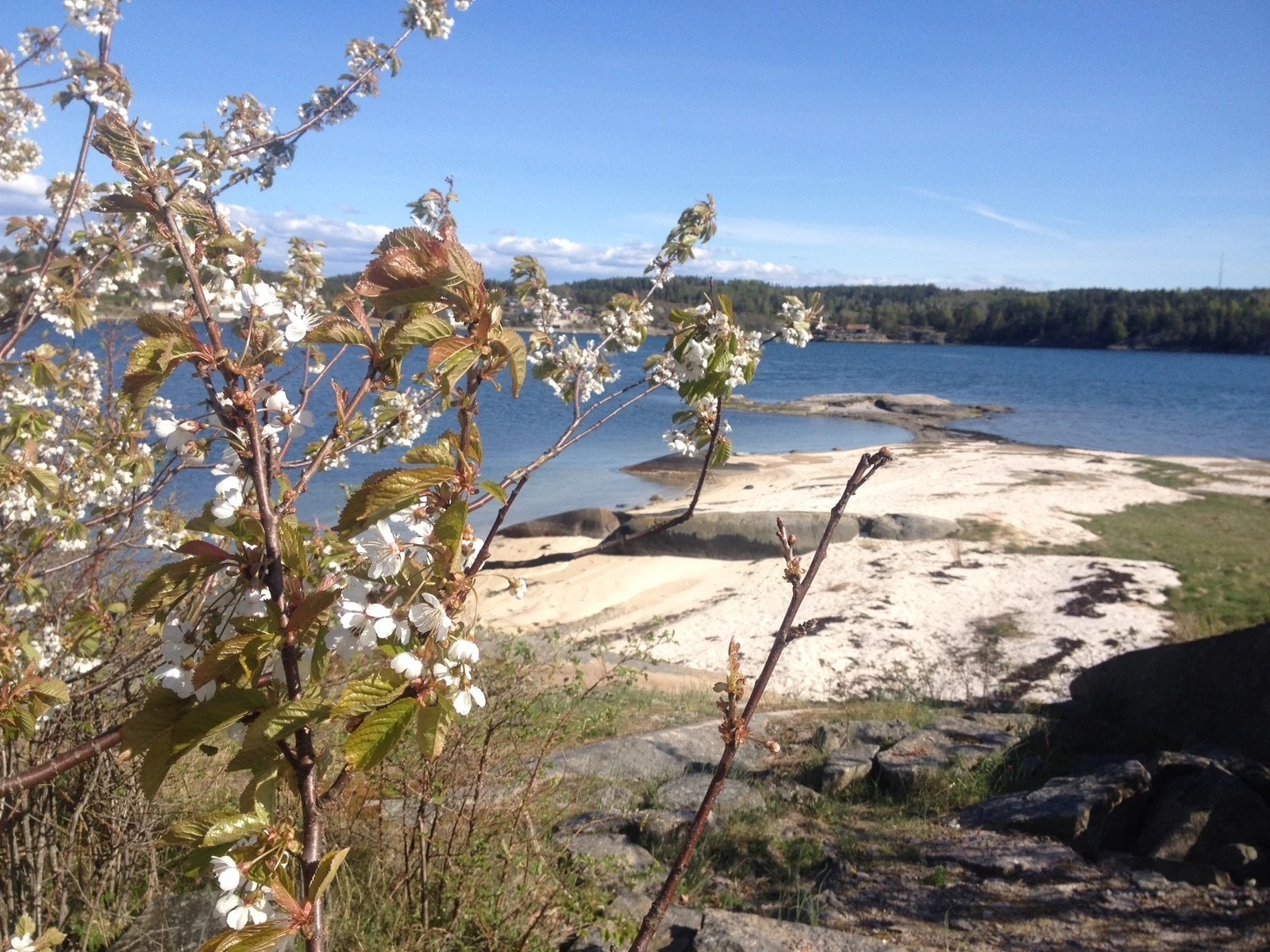 Miljøbilde strand og svaberg Galleribilde