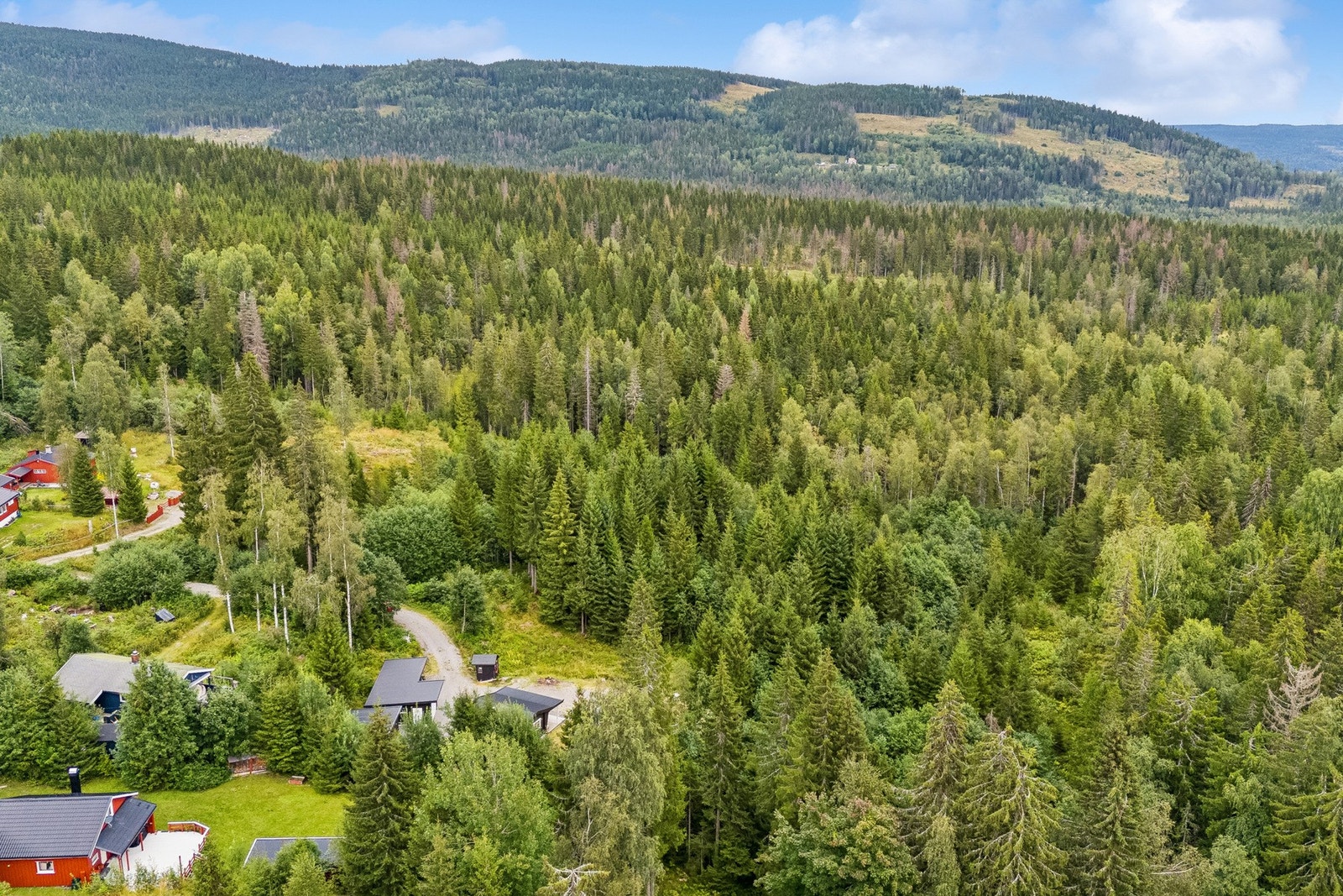 Naturskjønn og idyllisk beliggenhet i Hurdal. Galleribilde