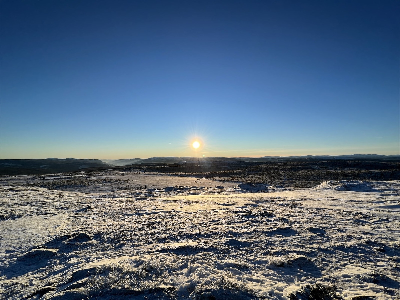 Selgers bilde Galleribilde