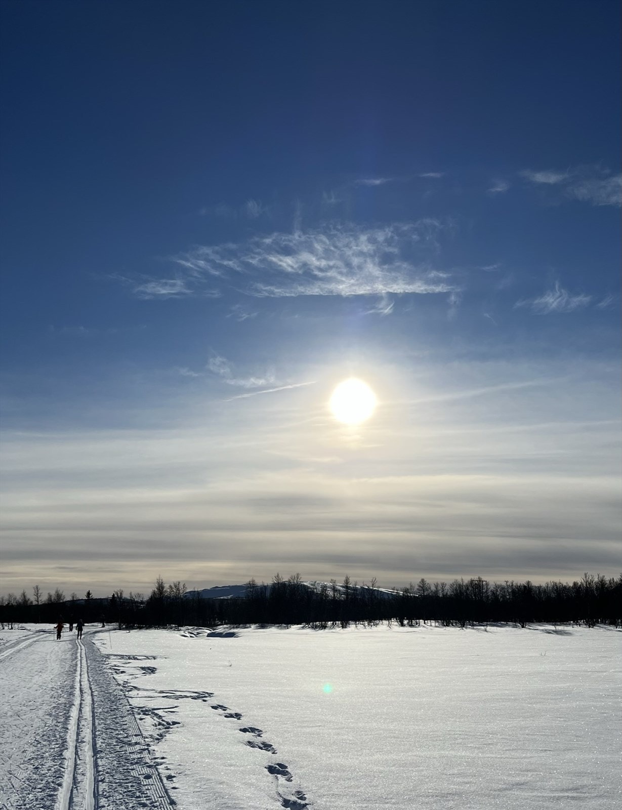 Selgers bilde Galleribilde