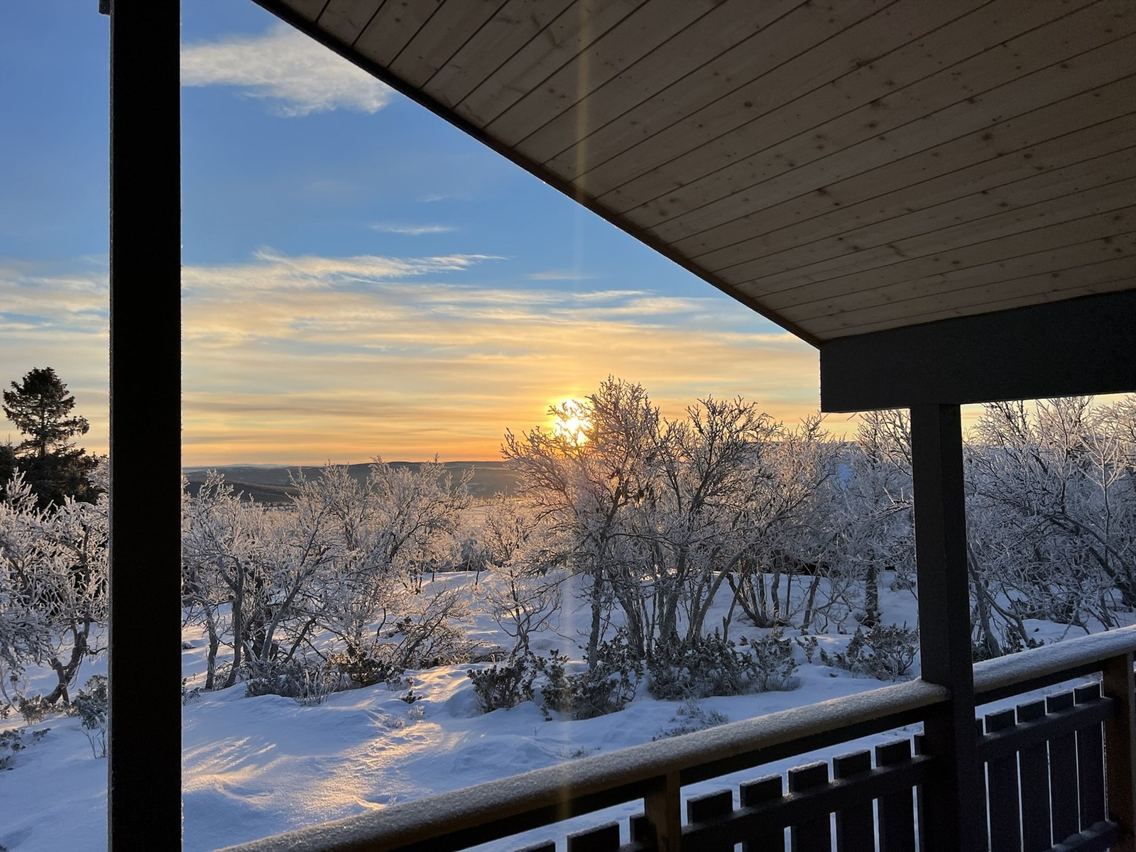 Selgers bilde Galleribilde