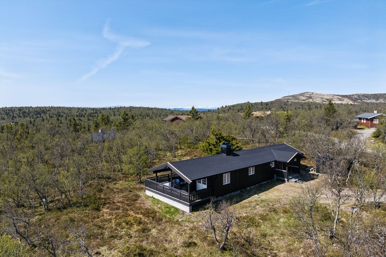 Klassisk hyttearkitektur med mørk trekledning og nytt tak fra 2021. Galleribilde