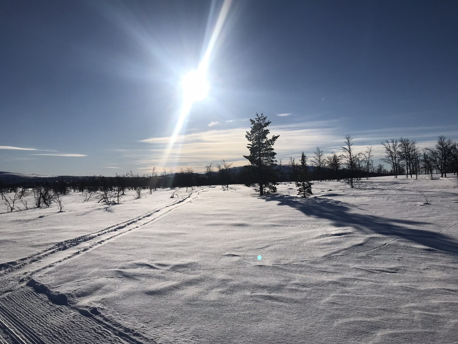 Selgers bilde Galleribilde