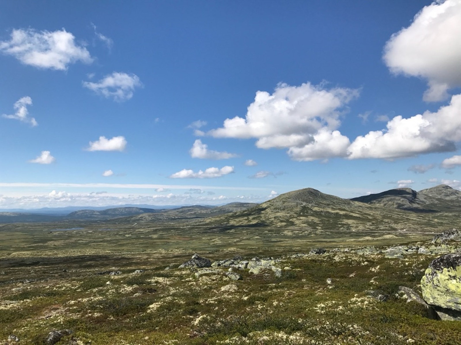 Selgers bilde Galleribilde