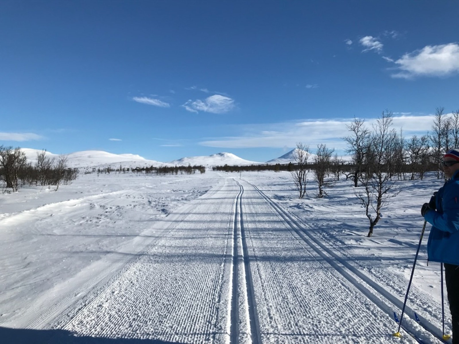 Selgers bilde Galleribilde