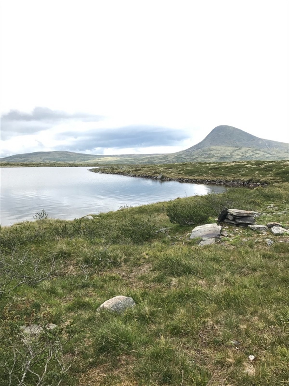 Selgers bilde Galleribilde