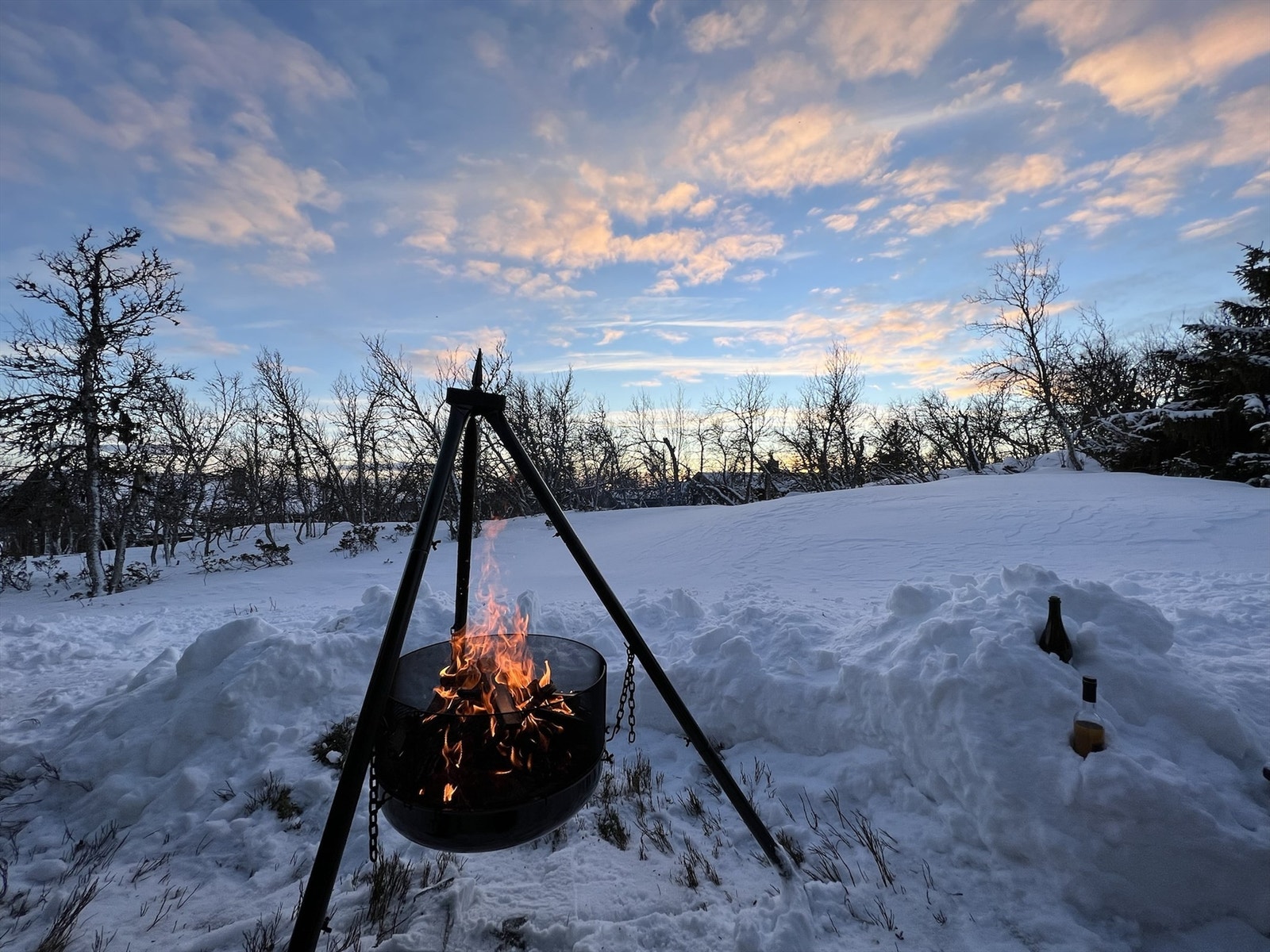 Selgers bilde Galleribilde