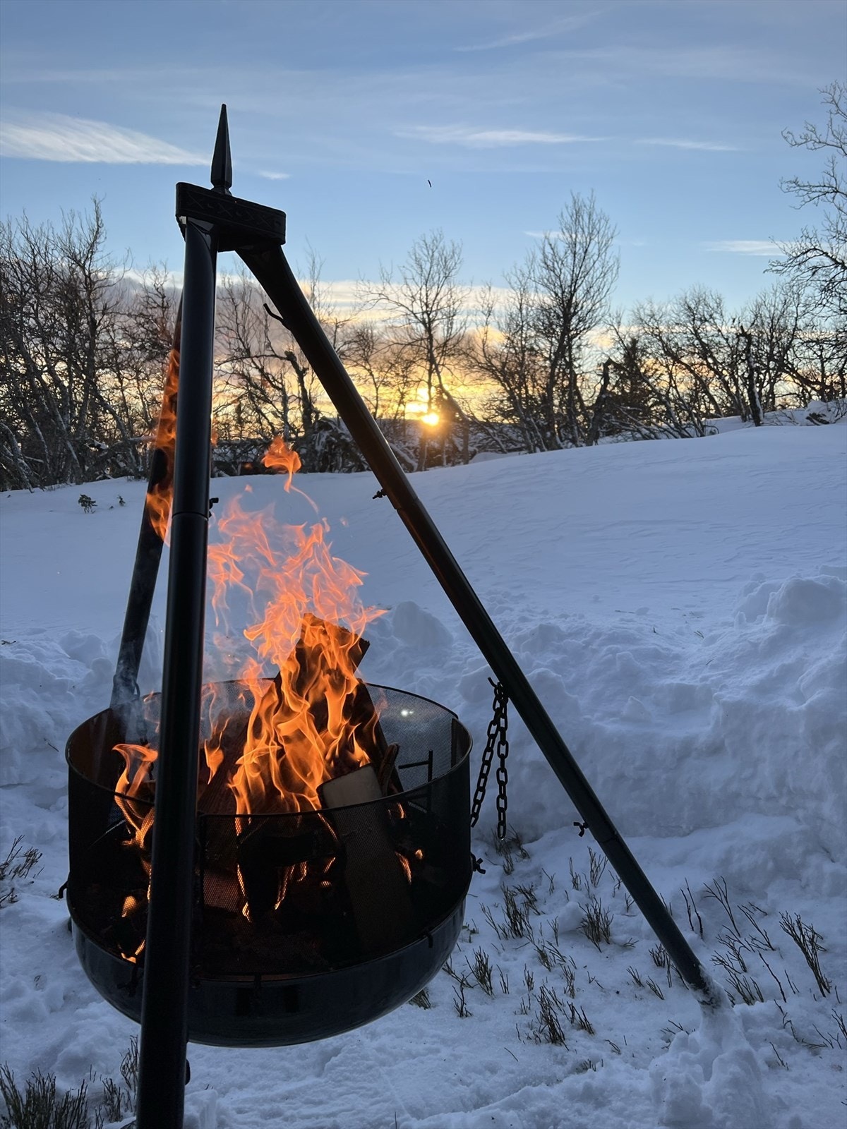 Selgers bilde Galleribilde