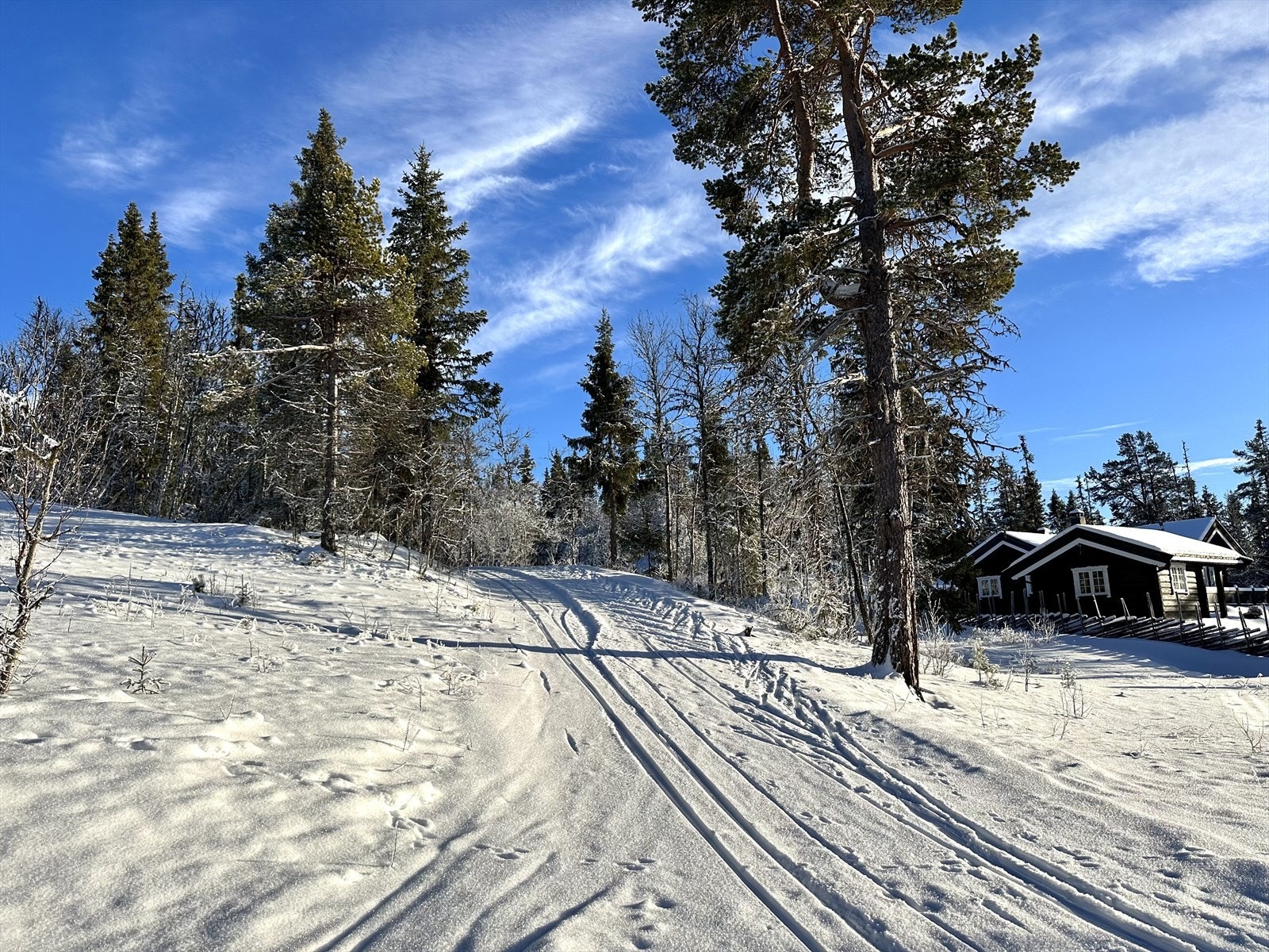På vinterstid finner en oppkjørte skiløyper 500 meter fra eiendommen som er tilknyttet et fantastisk løypenett med løyper som passer for både store og små. Galleribilde