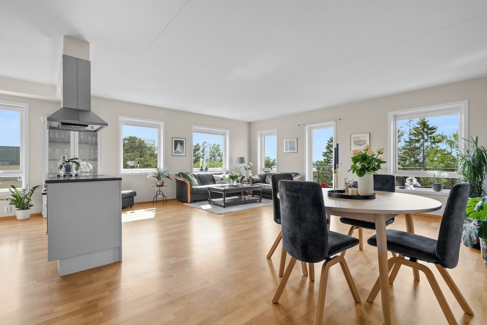 De store vindusflatene, som vender mot flere himmelretninger, sørger for rikelig med naturlig lys som skaper en lys og trivelig atmosfære. Galleribilde