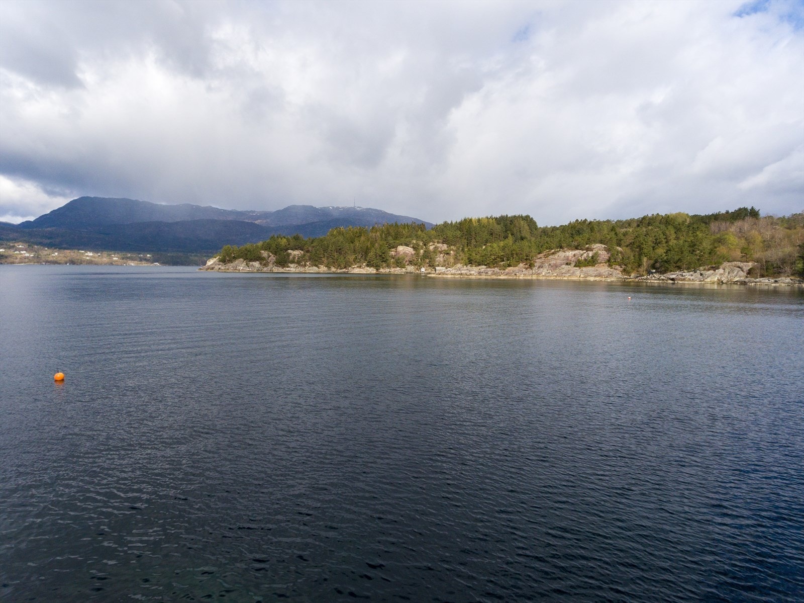 Bilde fra tomten Galleribilde