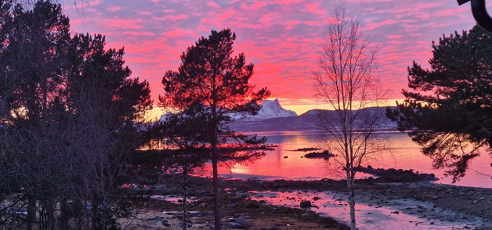 Det er et vakkert skue fra eiendommen hele året! Galleribilde