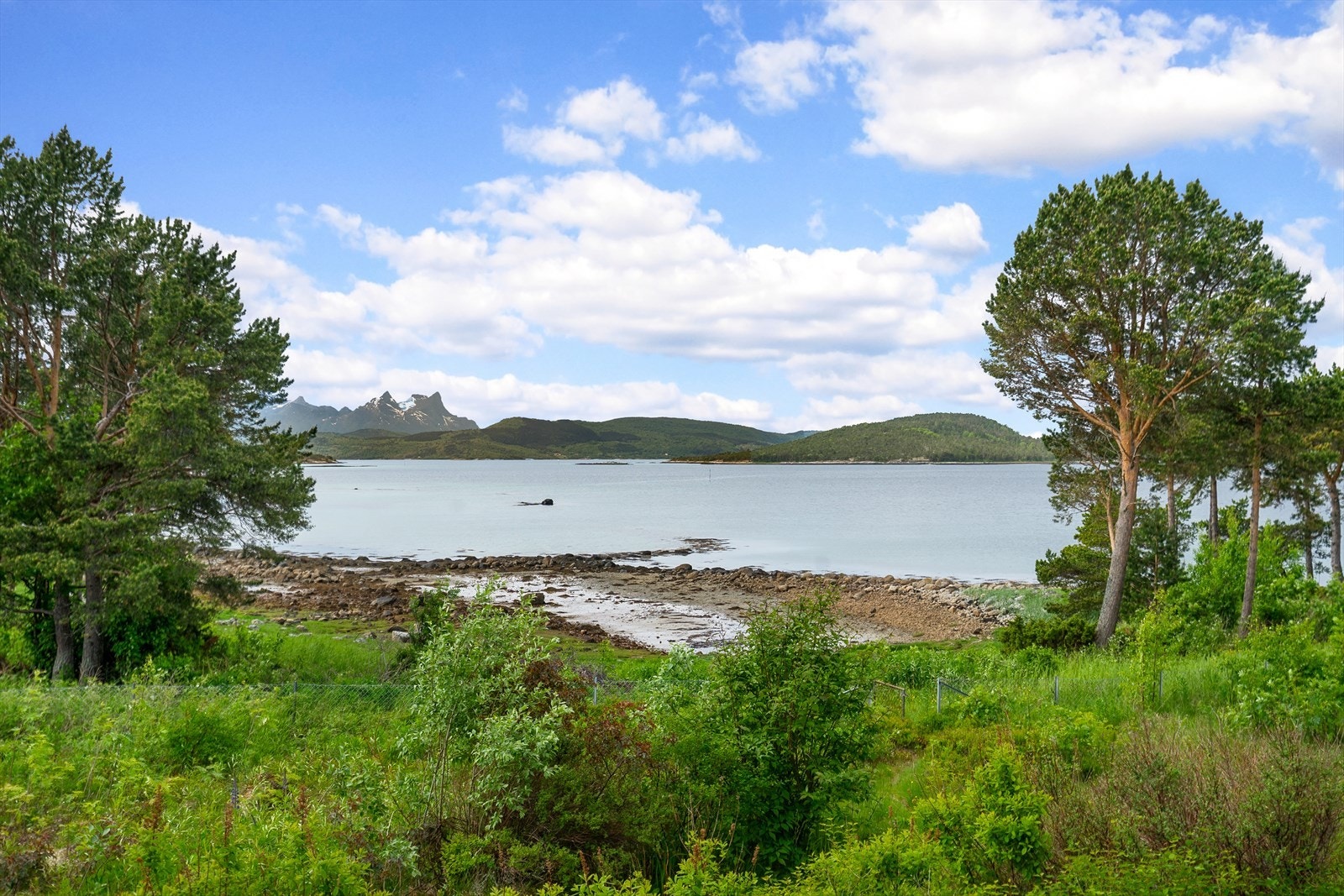 Flott utsikt fra altan Galleribilde