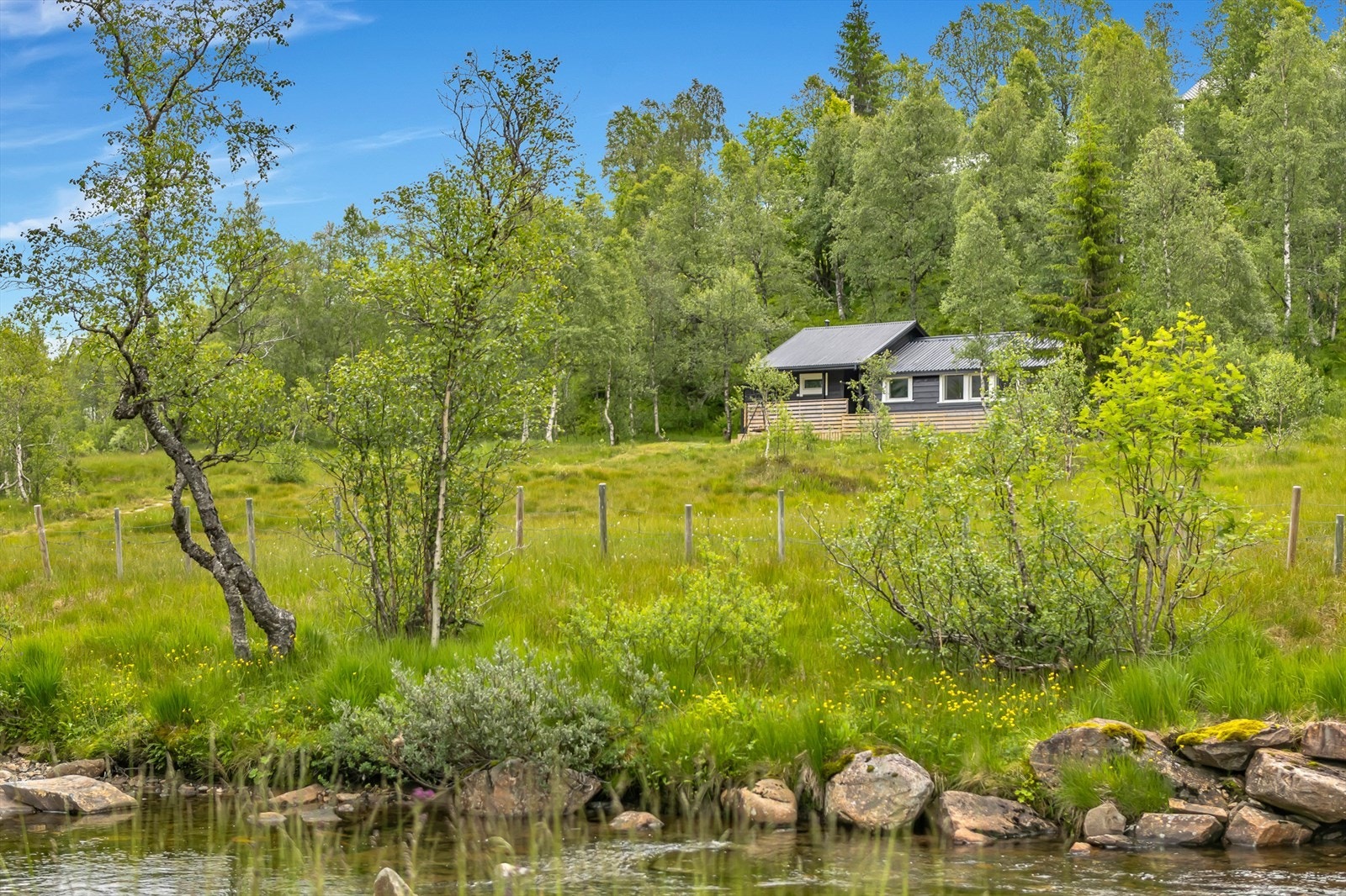 Nydelig naturområde med spredt hyttebebyggelse rundt hytten. Galleribilde