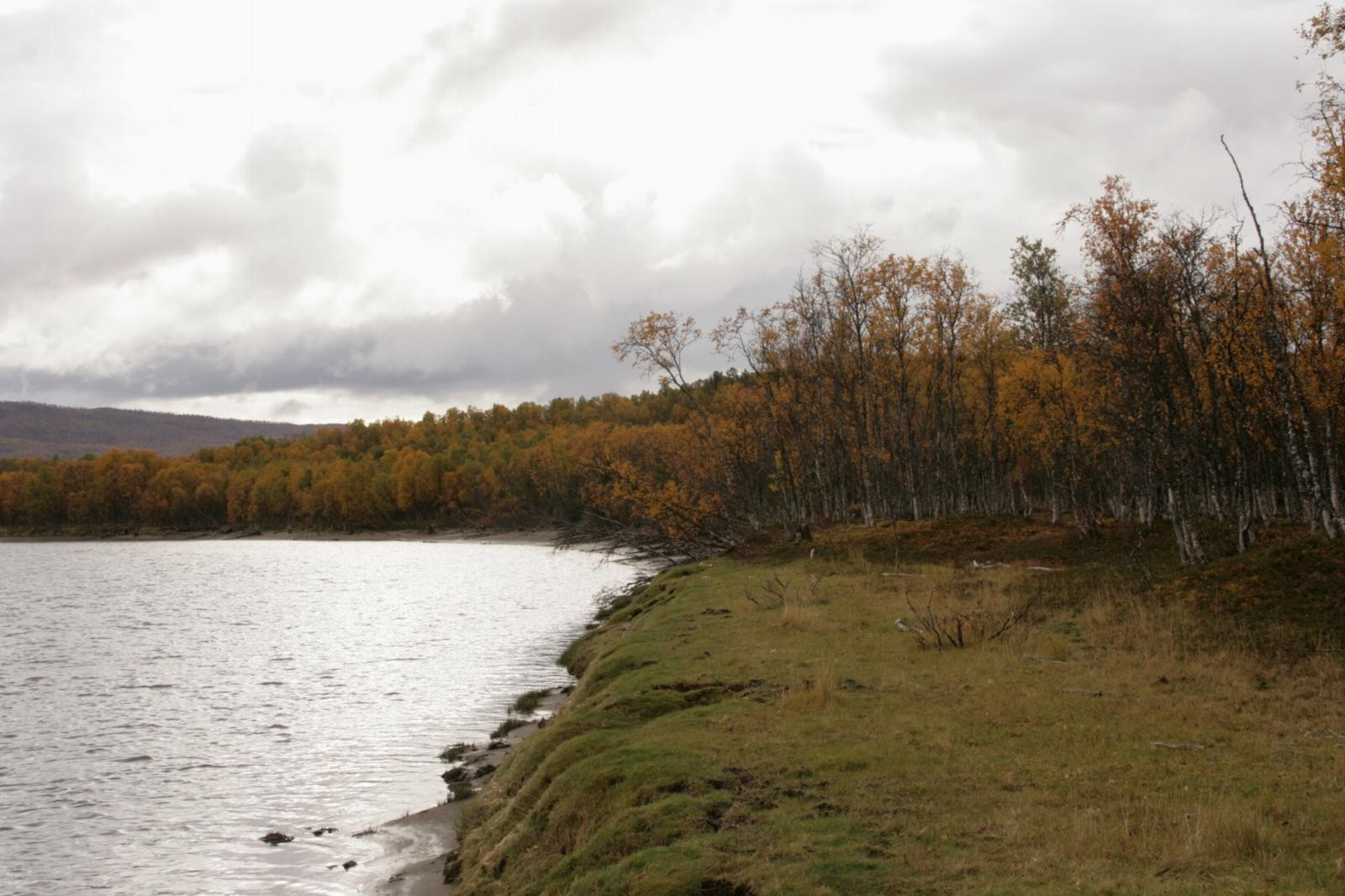 Sørgrense for eiendom - Tatt fra vest. Grense mot nord er Målselva, og mot sør er det, grovt regnet, skogsbilveien. (privat bilde med opplysninger fra eier)
