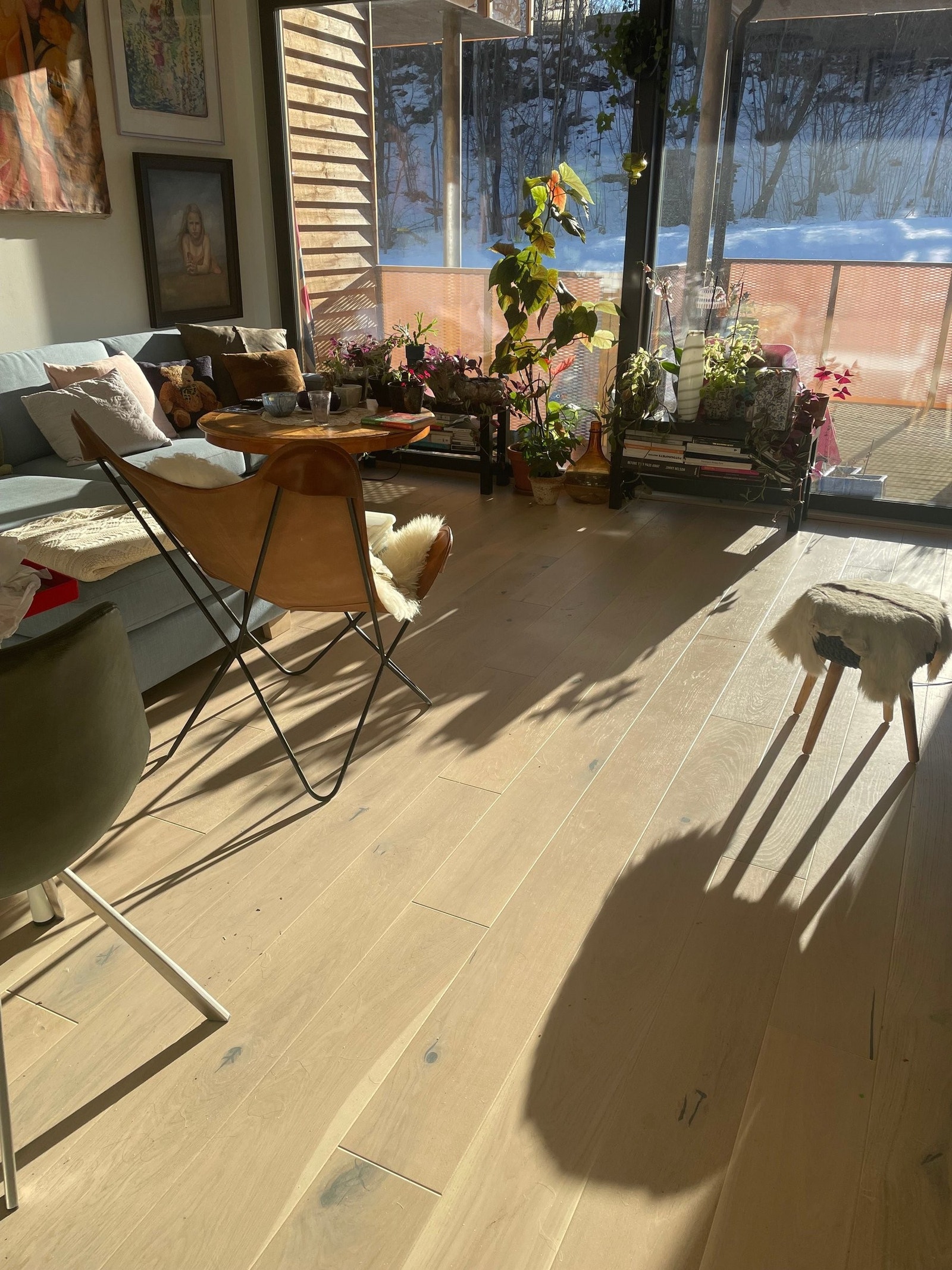 Solrikt og lyst 18 feb. 2025 Galleribilde