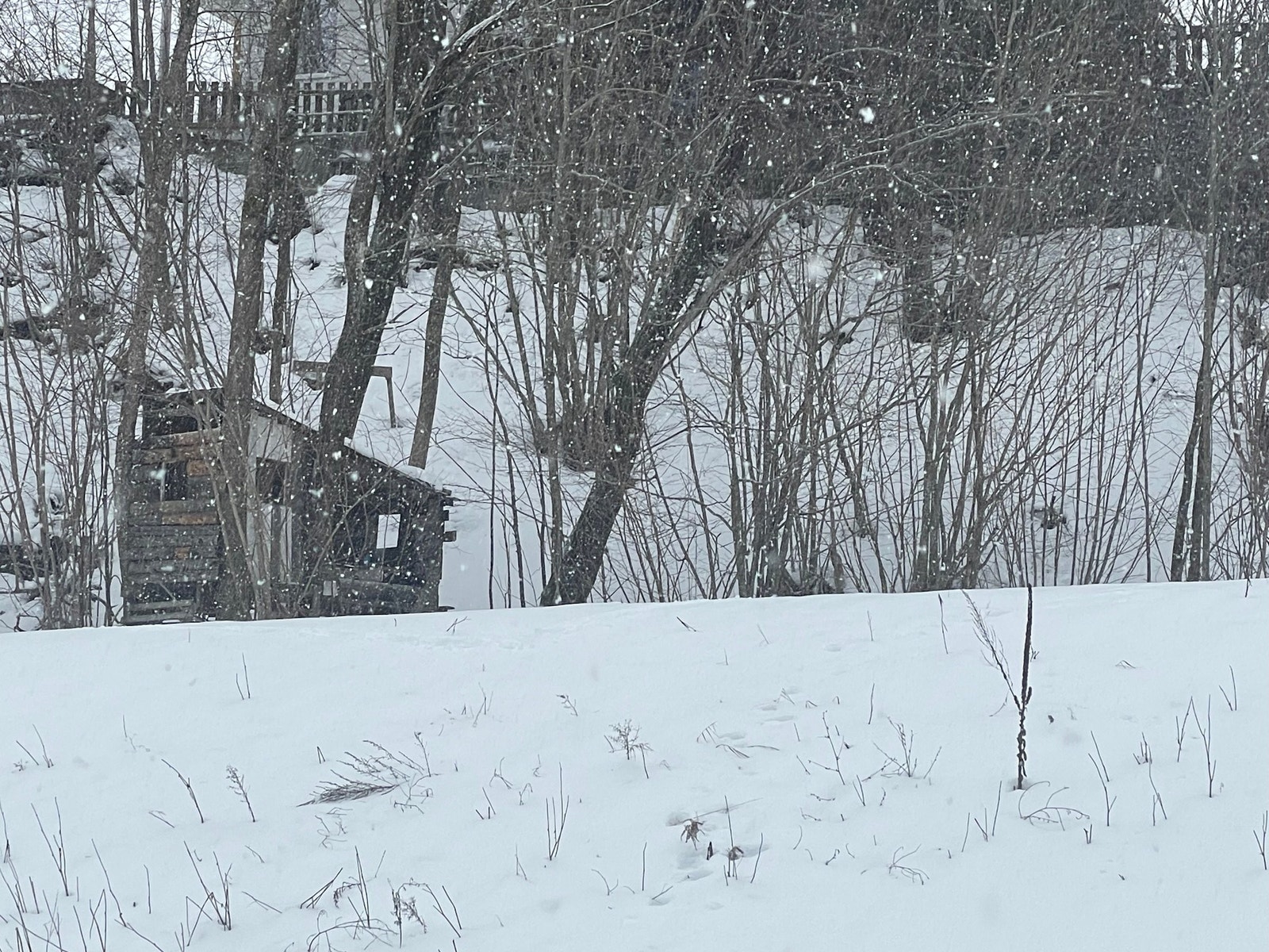 Utsikt fra leiligheten. Ser ikke andre hus blokker. Galleribilde