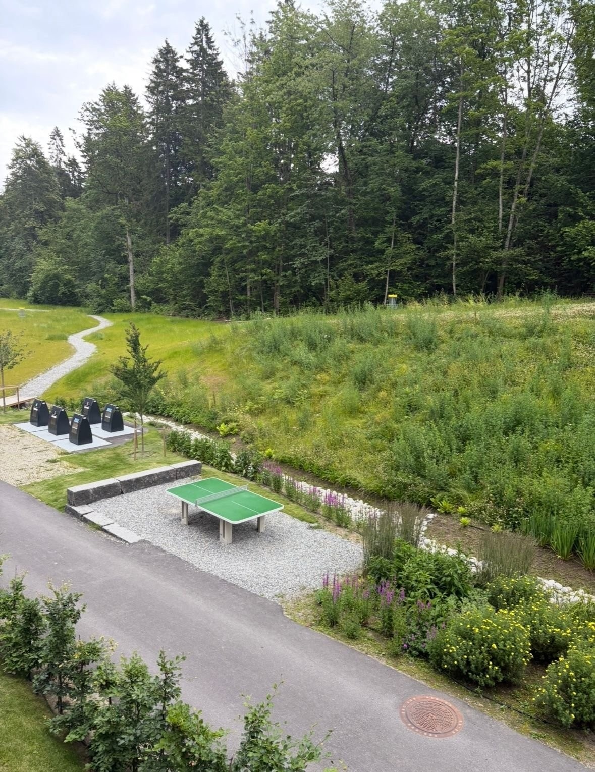 Bordtennis bord på sommertid. Galleribilde