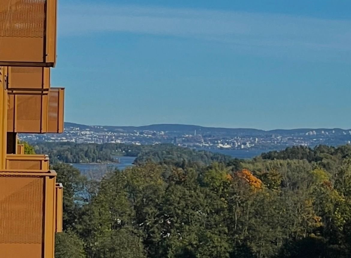 Utsikt på sommertid. Galleribilde