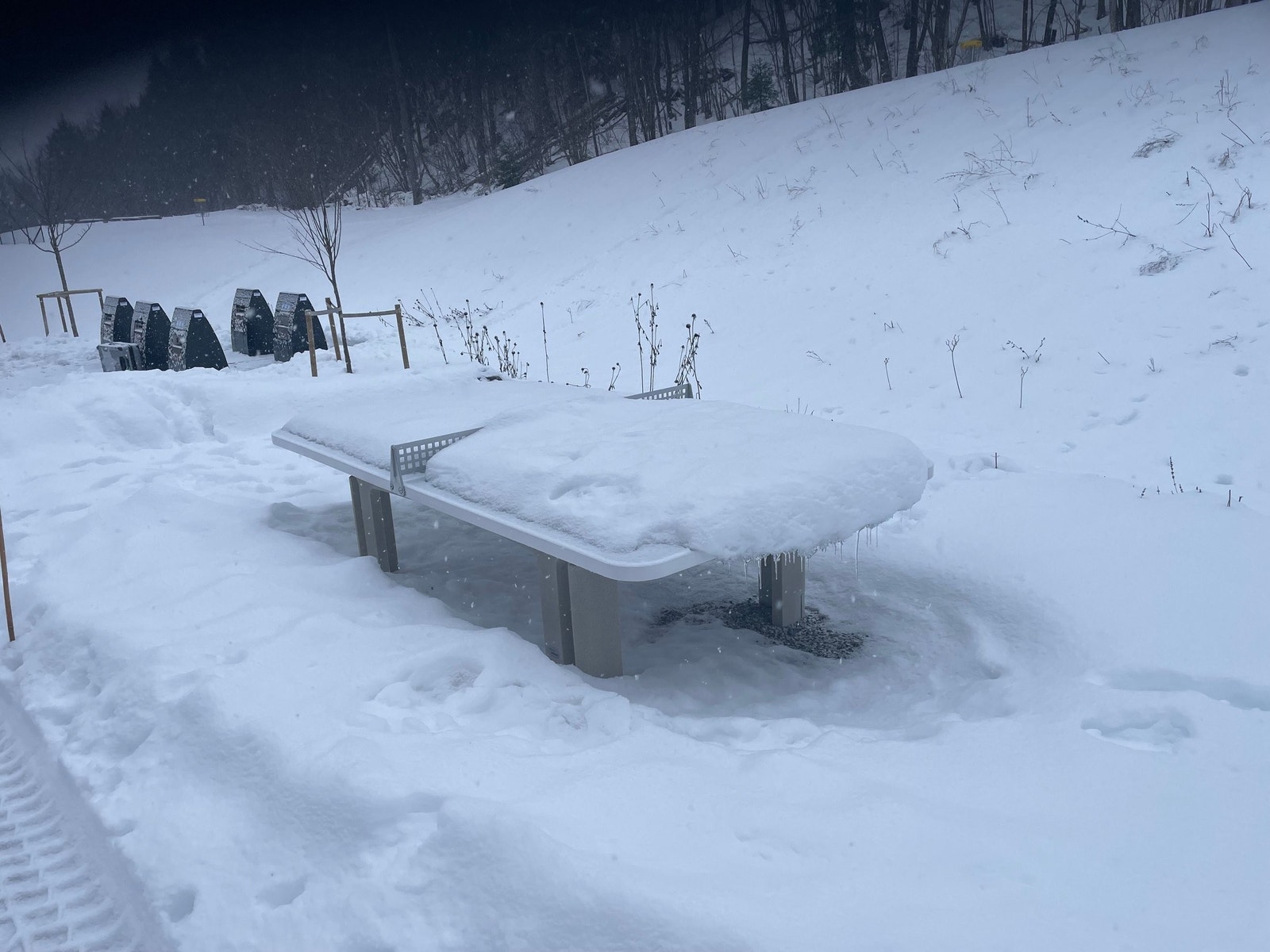 Dette er et bordtennis bord. Står ute. Alle beboere kan benytte seg av det. Galleribilde