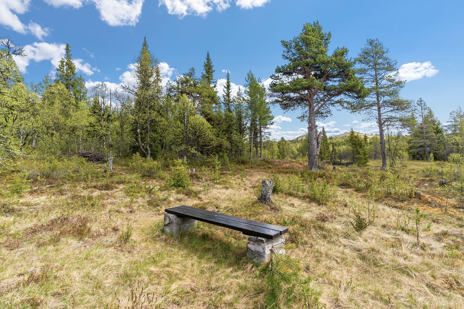 Det er godt med boltreplass rundt eiendommen. Galleribilde