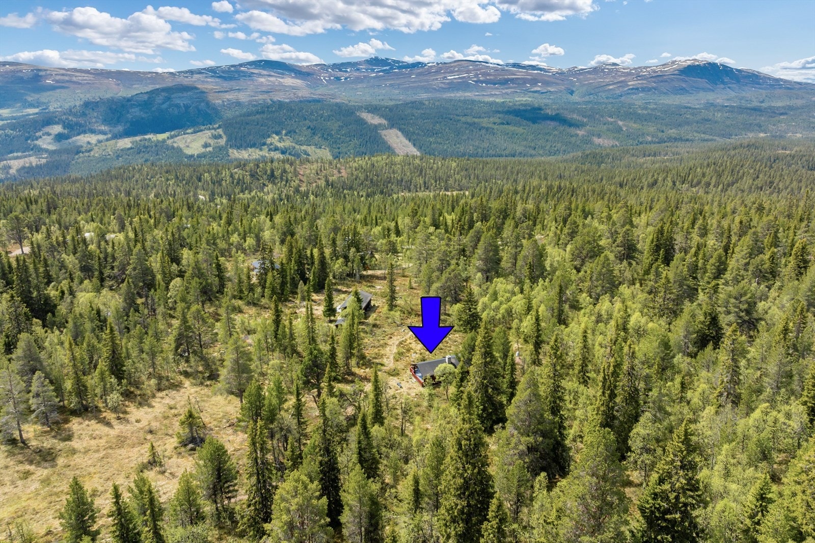 Fra hytta er det kort vei til snaufjellet, og det er merkede turstier og skiløyper rett i nærheten. I tillegg muligheter for jakt- og fiske. Galleribilde