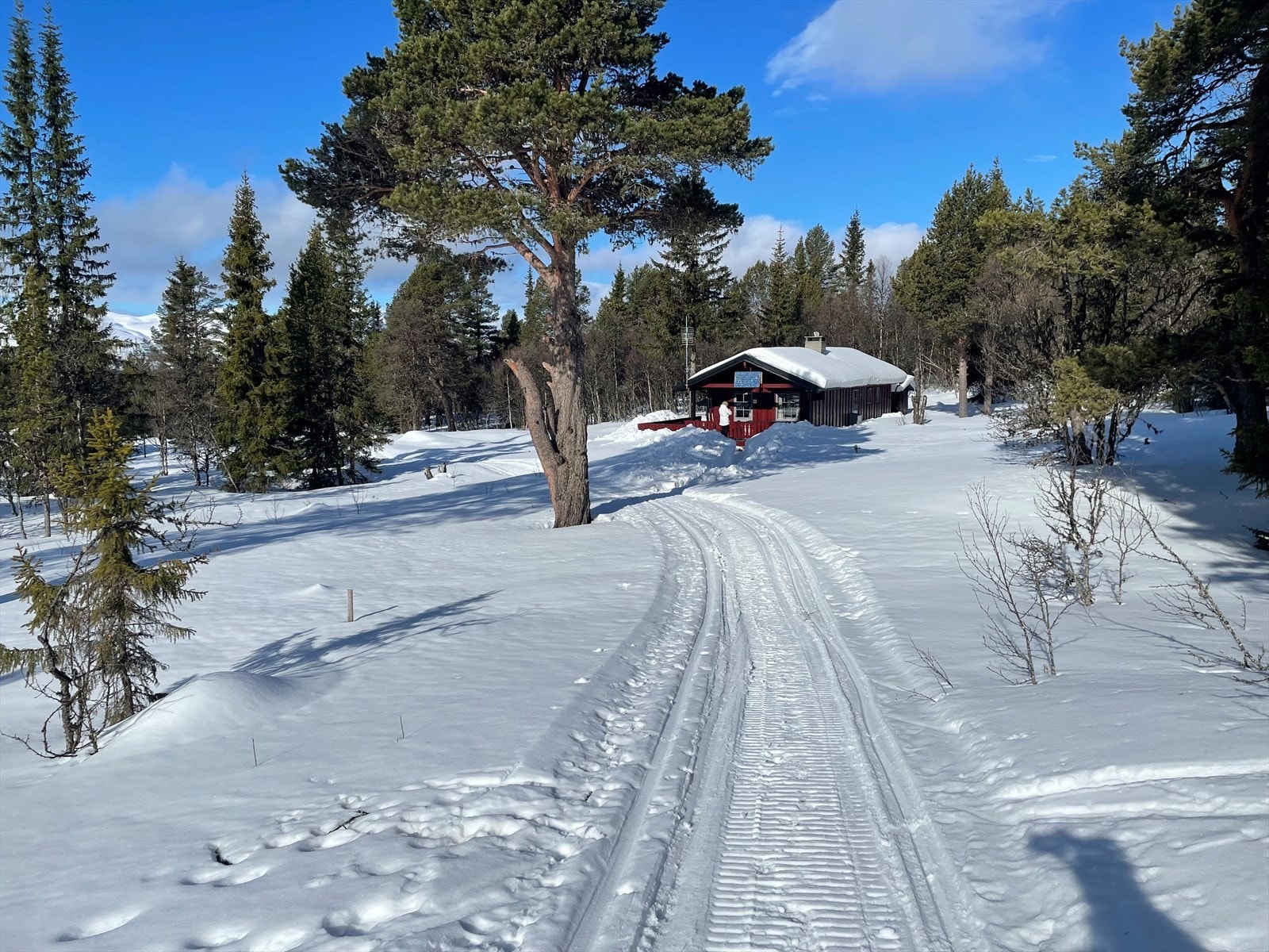 Det er scooterkjørte skiløyper rett utenfor hytta med tilknytning til maskin preparerte løyper på Venabygdsfjellet. Galleribilde