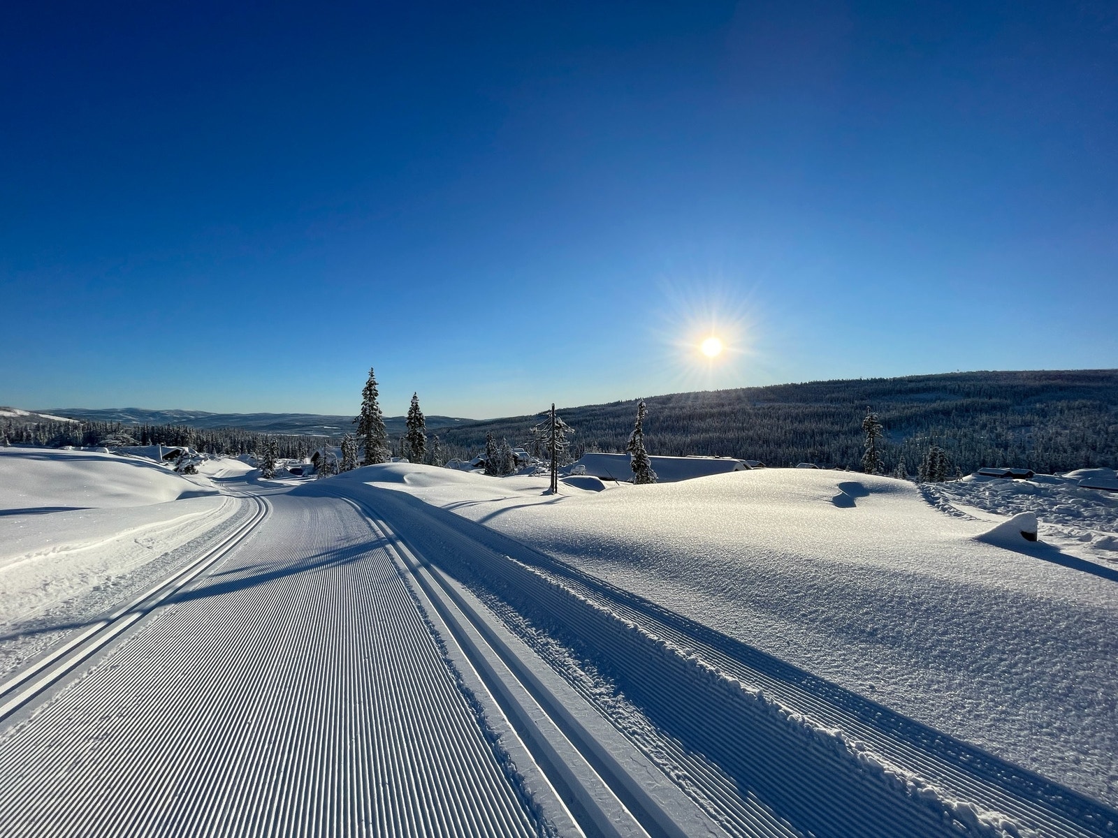 Skiløypa rett ved hytta. Hytta ligger rett til høyre i bildet. Galleribilde