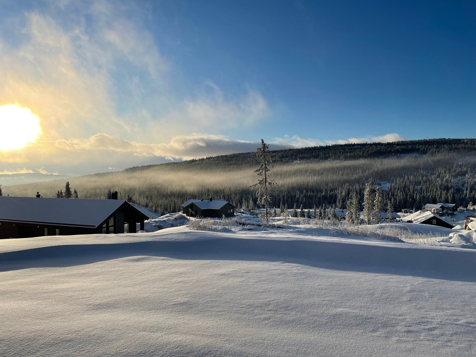 Selgers egne bilde. Galleribilde