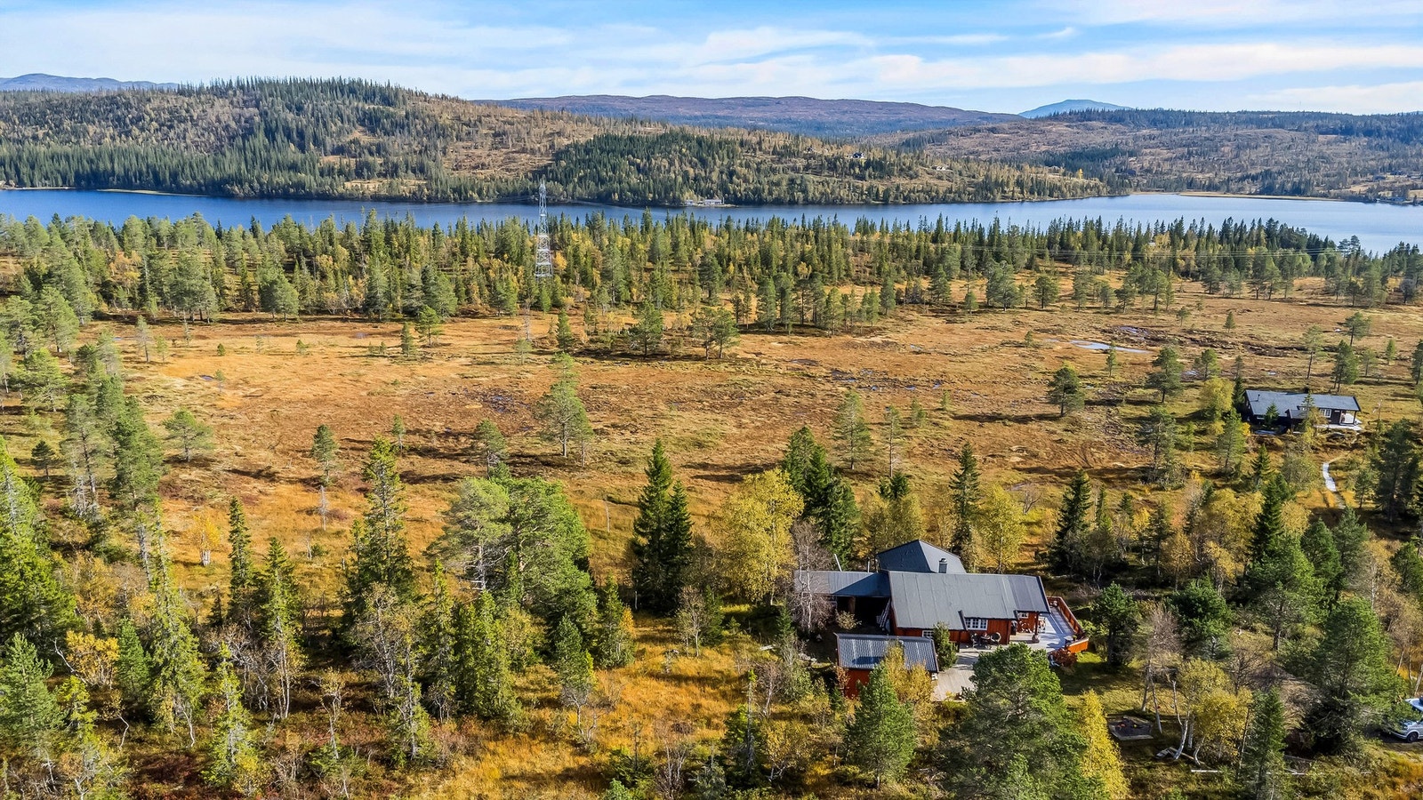 Velkommen til en hyggelig visning. Galleribilde
