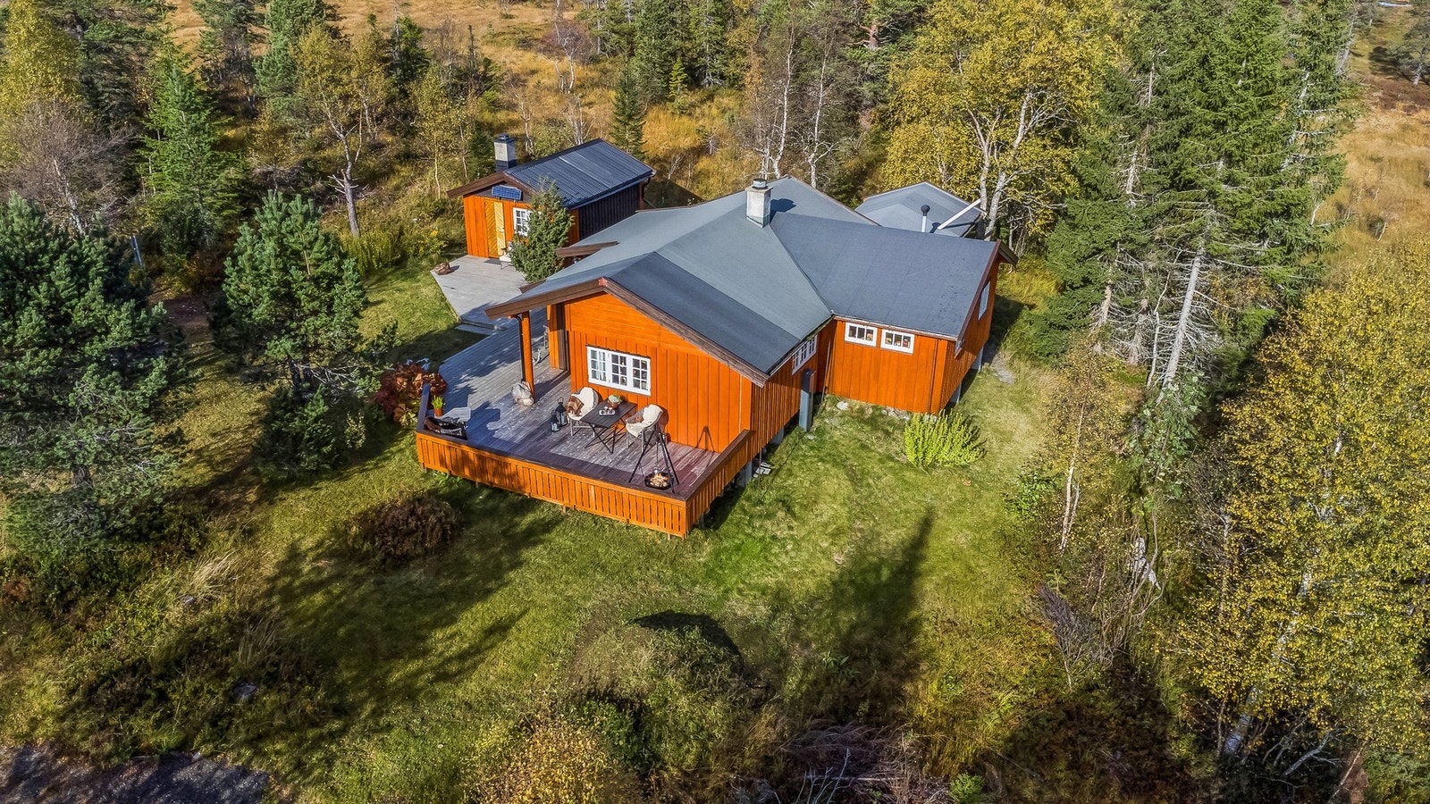 Sommervei helt frem til eiendommen. Galleribilde