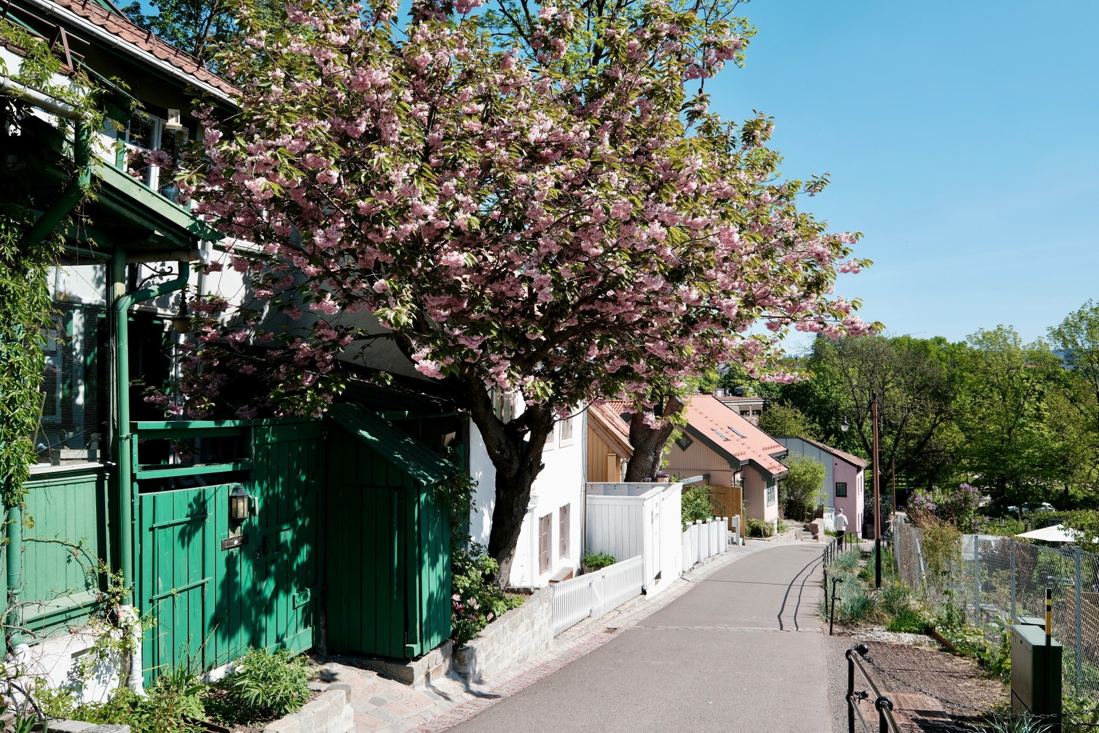 Nærmiljø - Telthusbakken Galleribilde