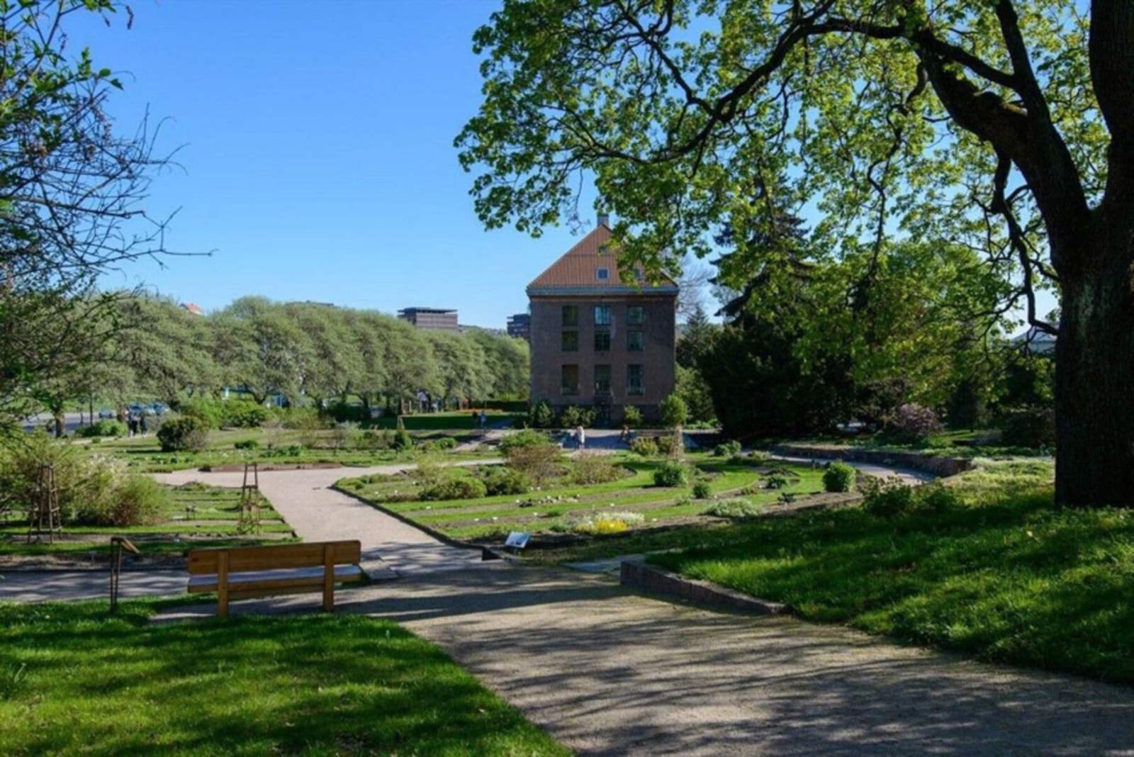 Botaniske hage ligger like ved og er en fin turdestinasjon vår, sommer og høst. Galleribilde