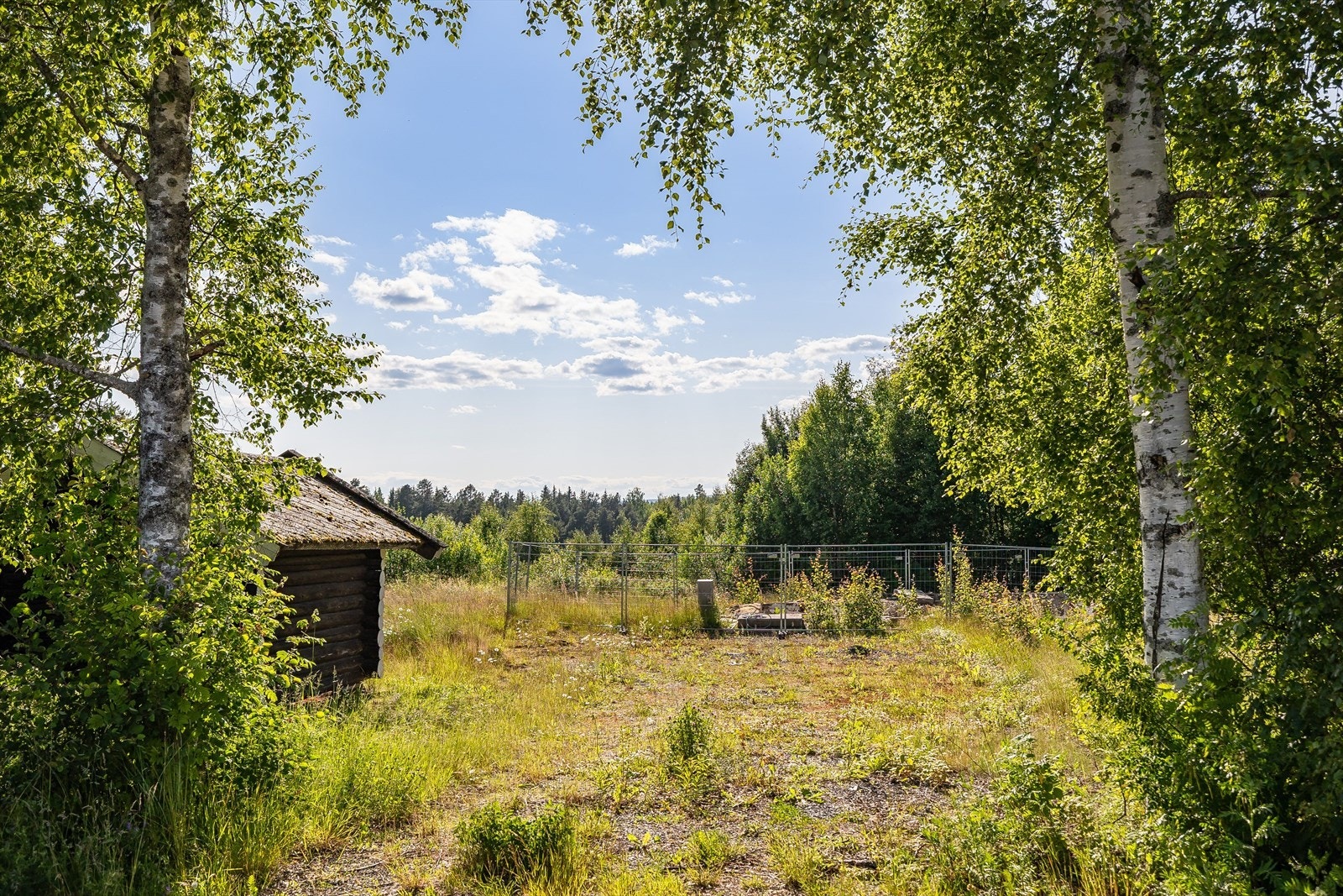 Tomten sett fra innkjøringen i selve Tangnesvegen. Galleribilde