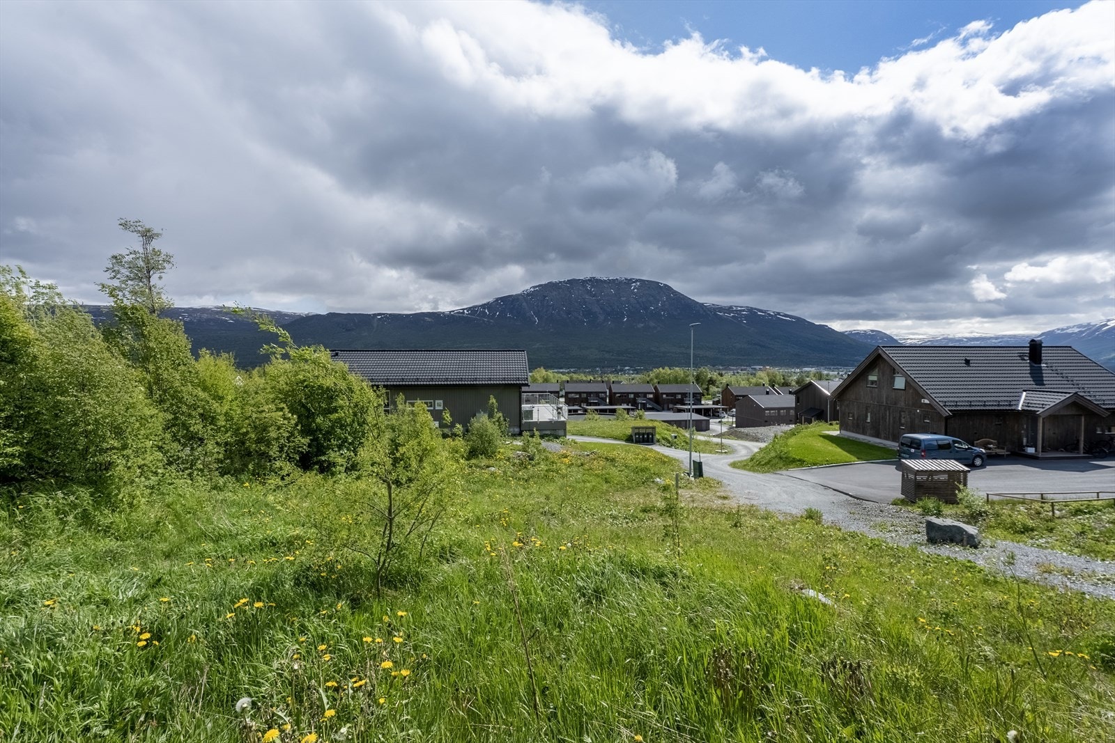 Utsikt fra bakkeplan i øvre del av tomten Galleribilde