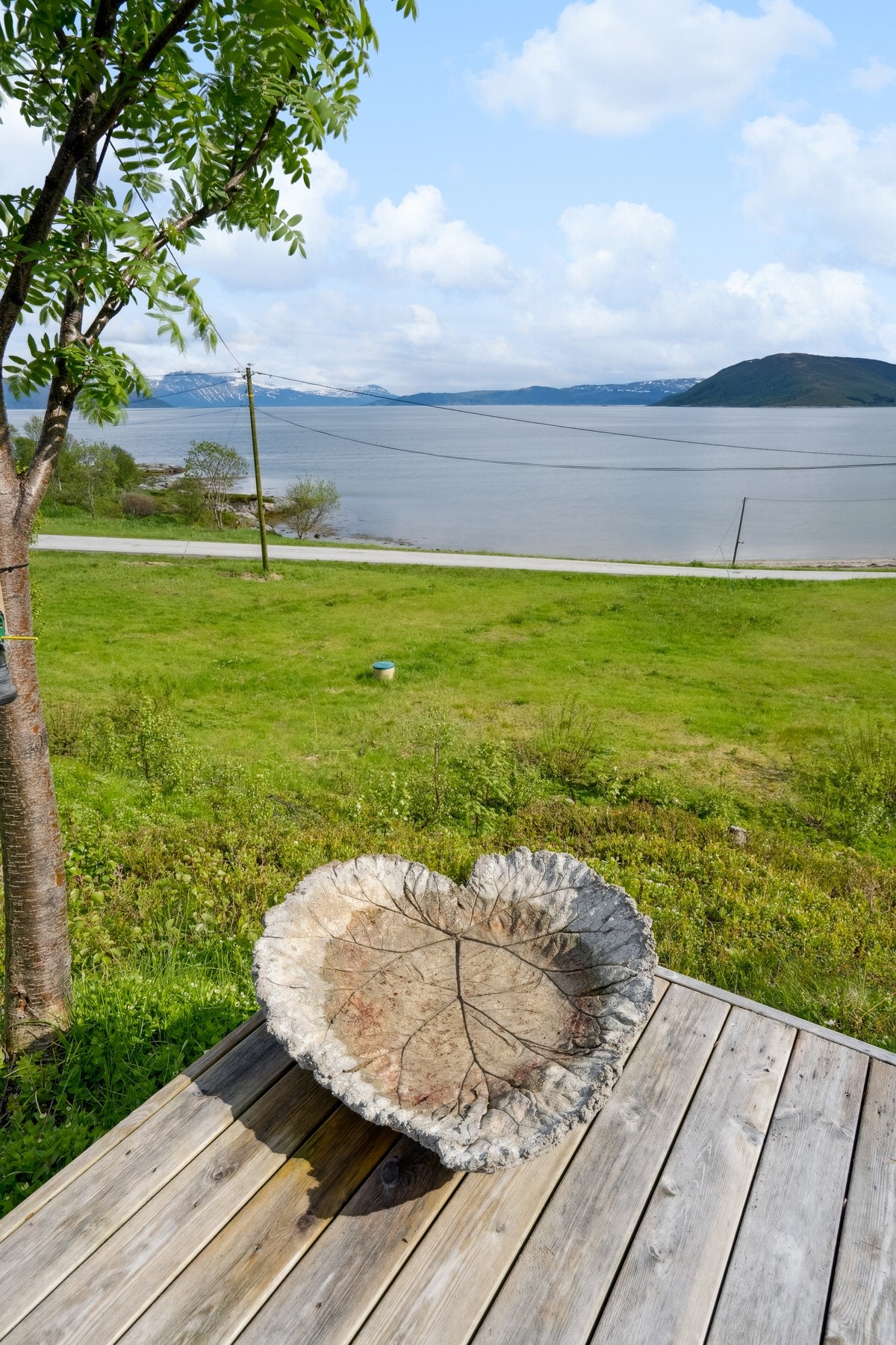 Detalj og terrasse Galleribilde