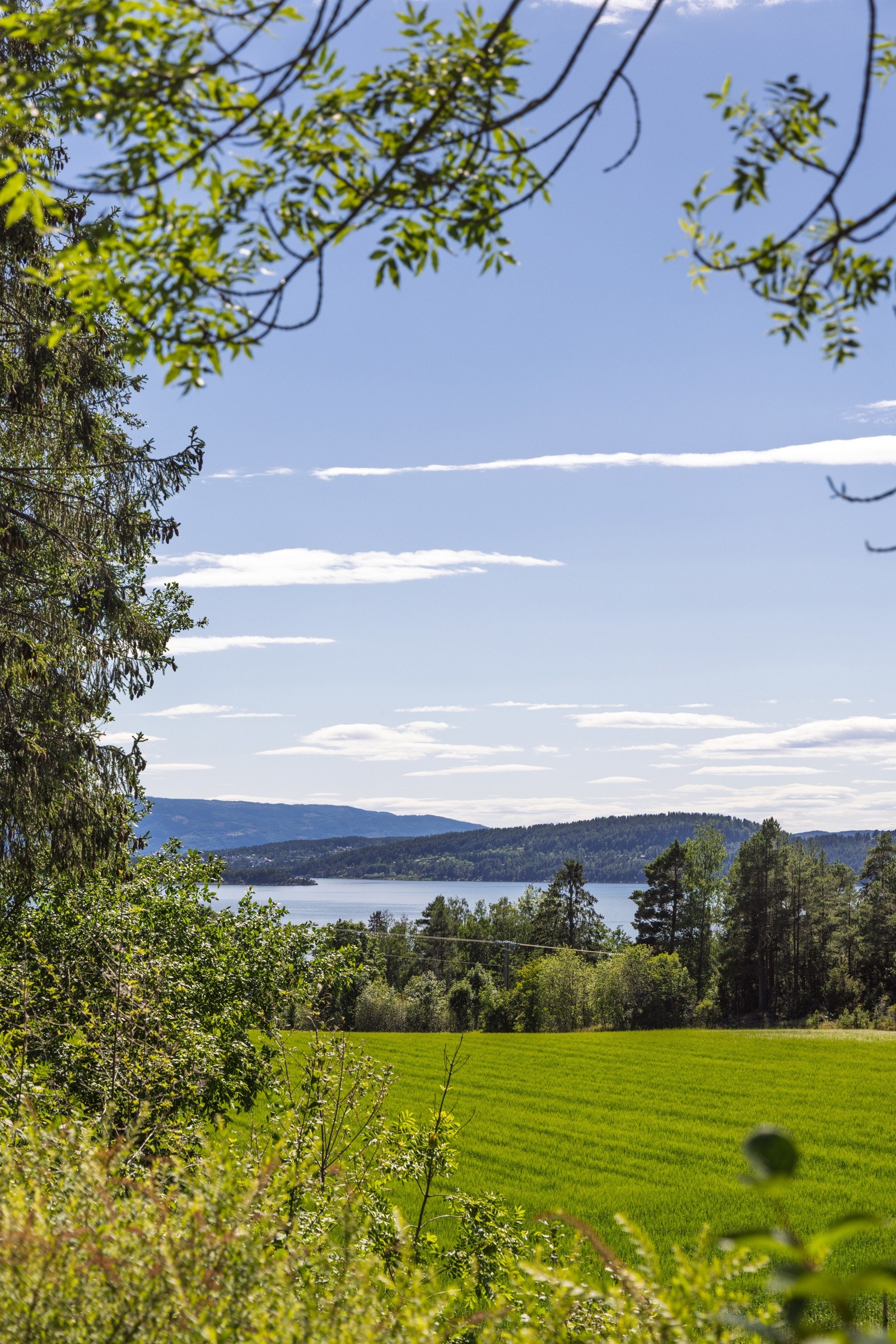 Her kan du se utover fjorden mens du føler på stillheten. Galleribilde