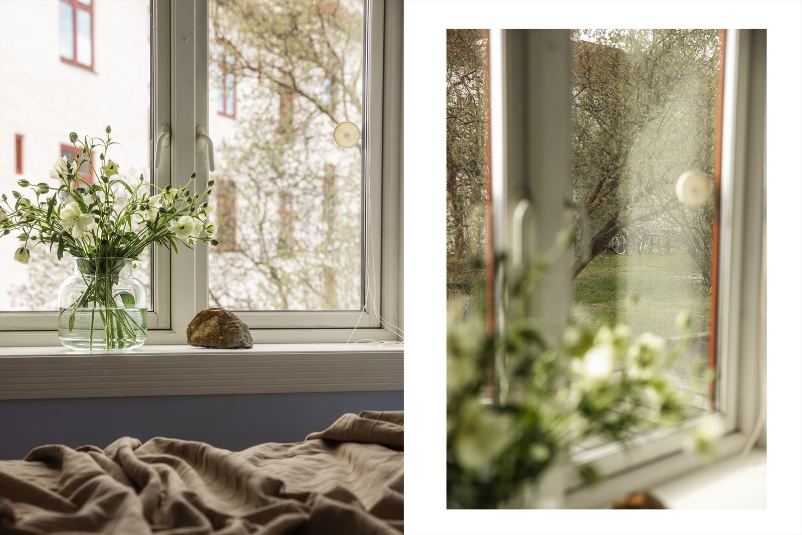 - Behagelig utsyn mot frodig bakgård - Galleribilde