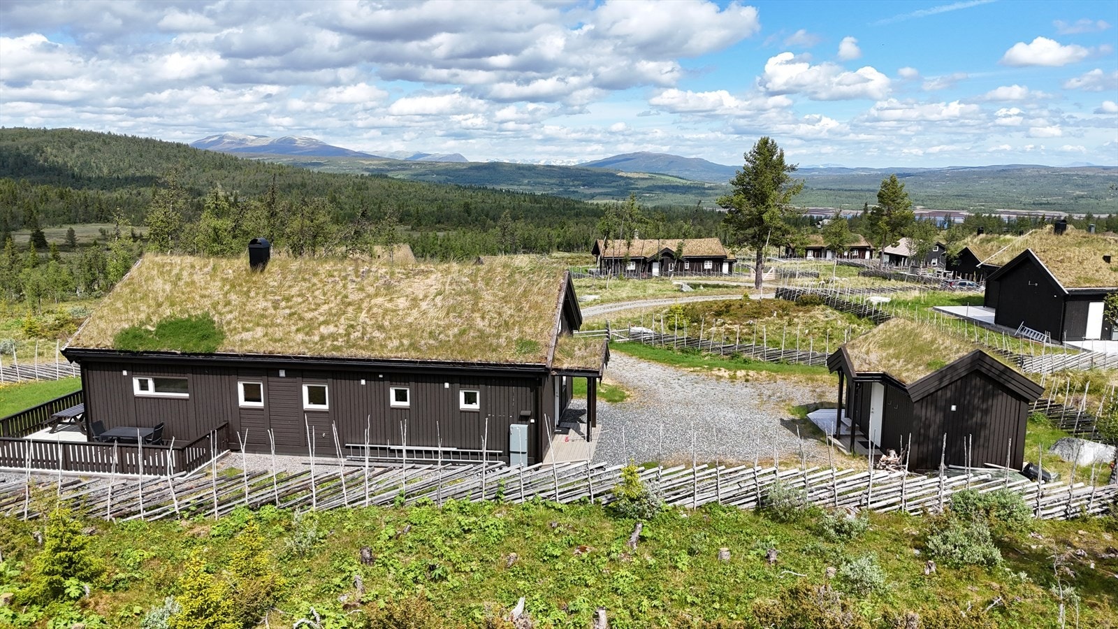 Flott utsikt mot Jotunheimen. Galleribilde