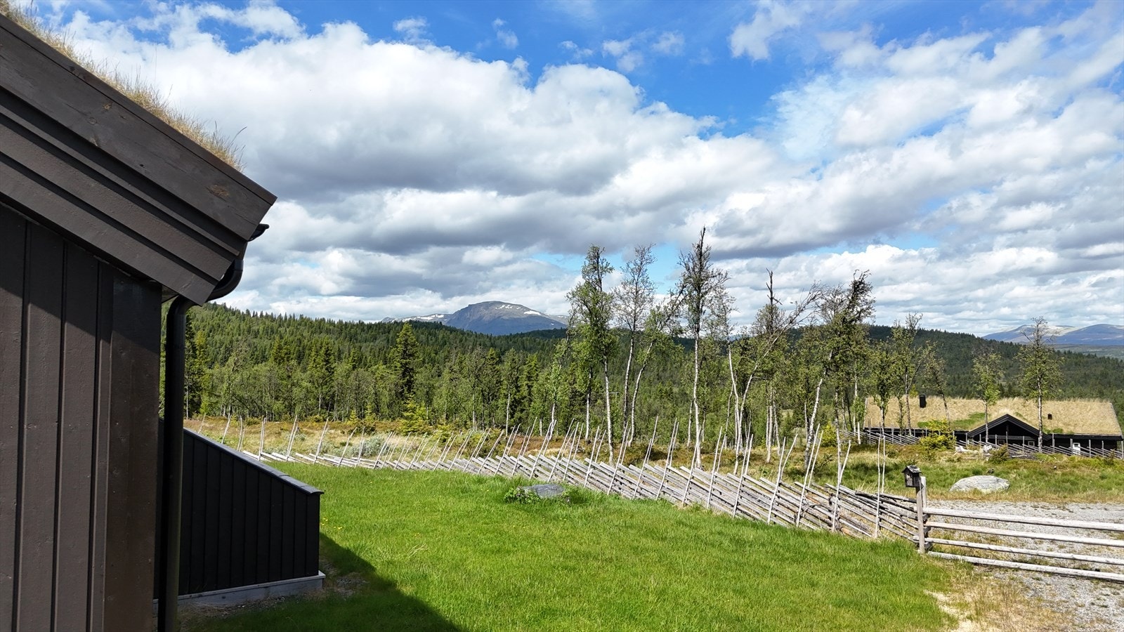 Nydelig utsikt mot Skogshorn Galleribilde