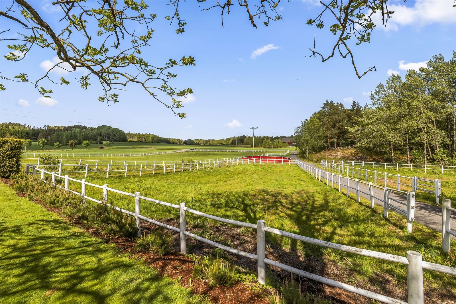 Hestebeitene på hver side av veien opp tilhører eiendommen. Nåværende eier leier hestebeitet helt til venstre i bildet, og gjerdene tilhører denne eiendommen. Eier av jordet er positiv til videre leie. Galleribilde