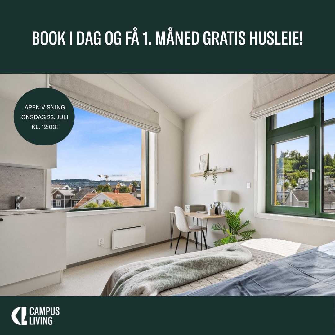 Kampanje Galleribilde