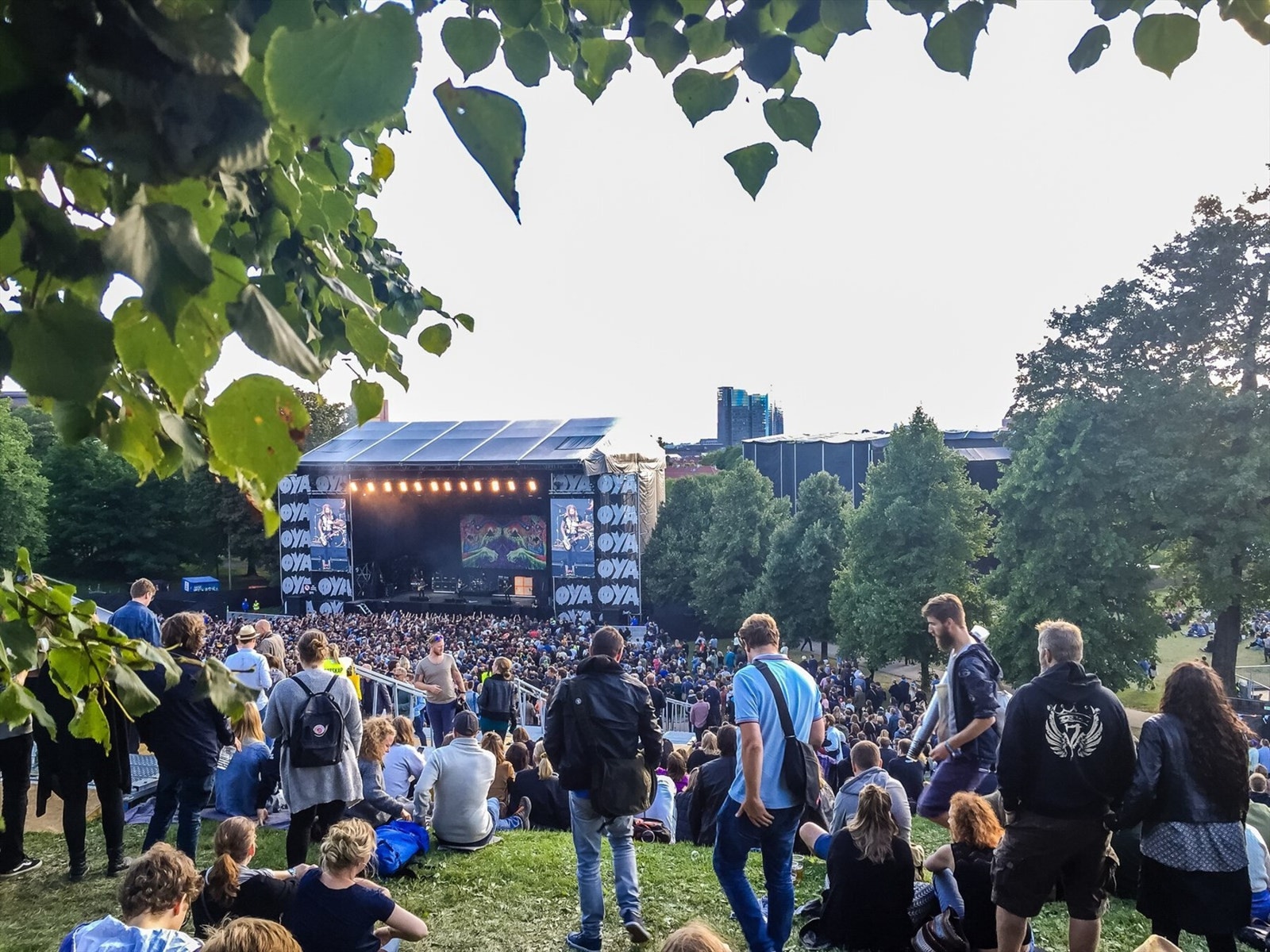 Kort vei hjem fra Øyafestivalen. Galleribilde