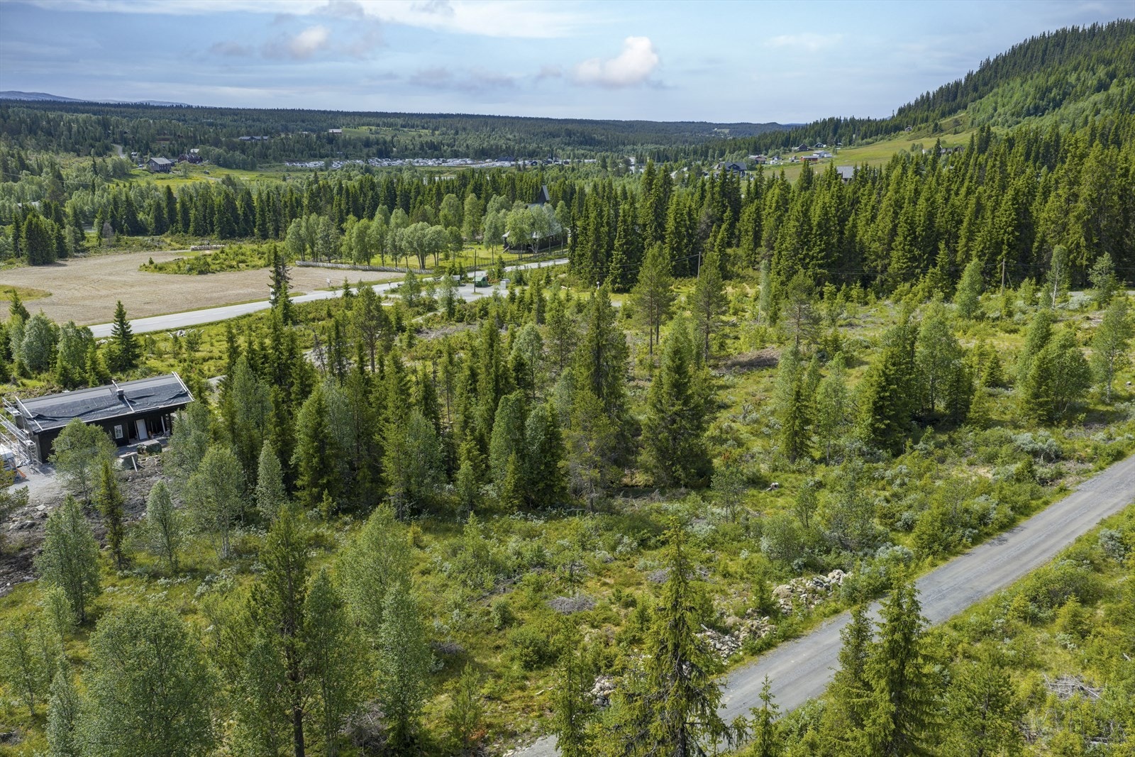 Her kan du bygge din drømmehytte på en tomt som ligger åpent og fint til med utsikt over omgivelsene, og med gode solforhold. Galleribilde