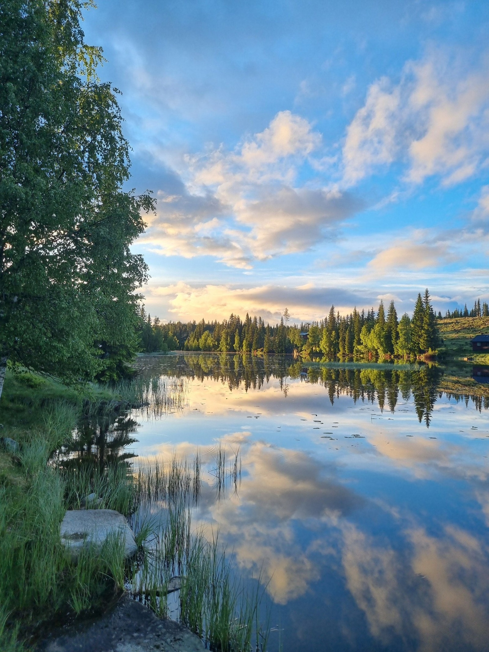 Fra vannkanten rett nedenfor hytta Galleribilde
