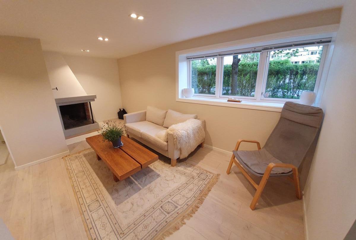 Peis stue Galleribilde