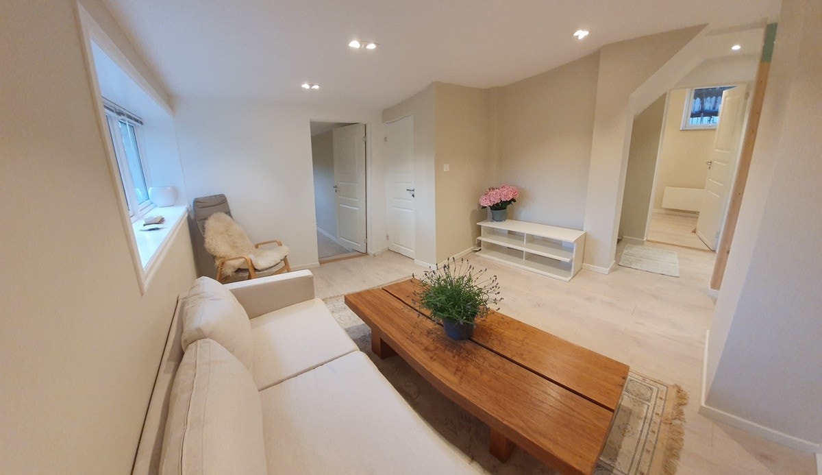 Peis stue Galleribilde