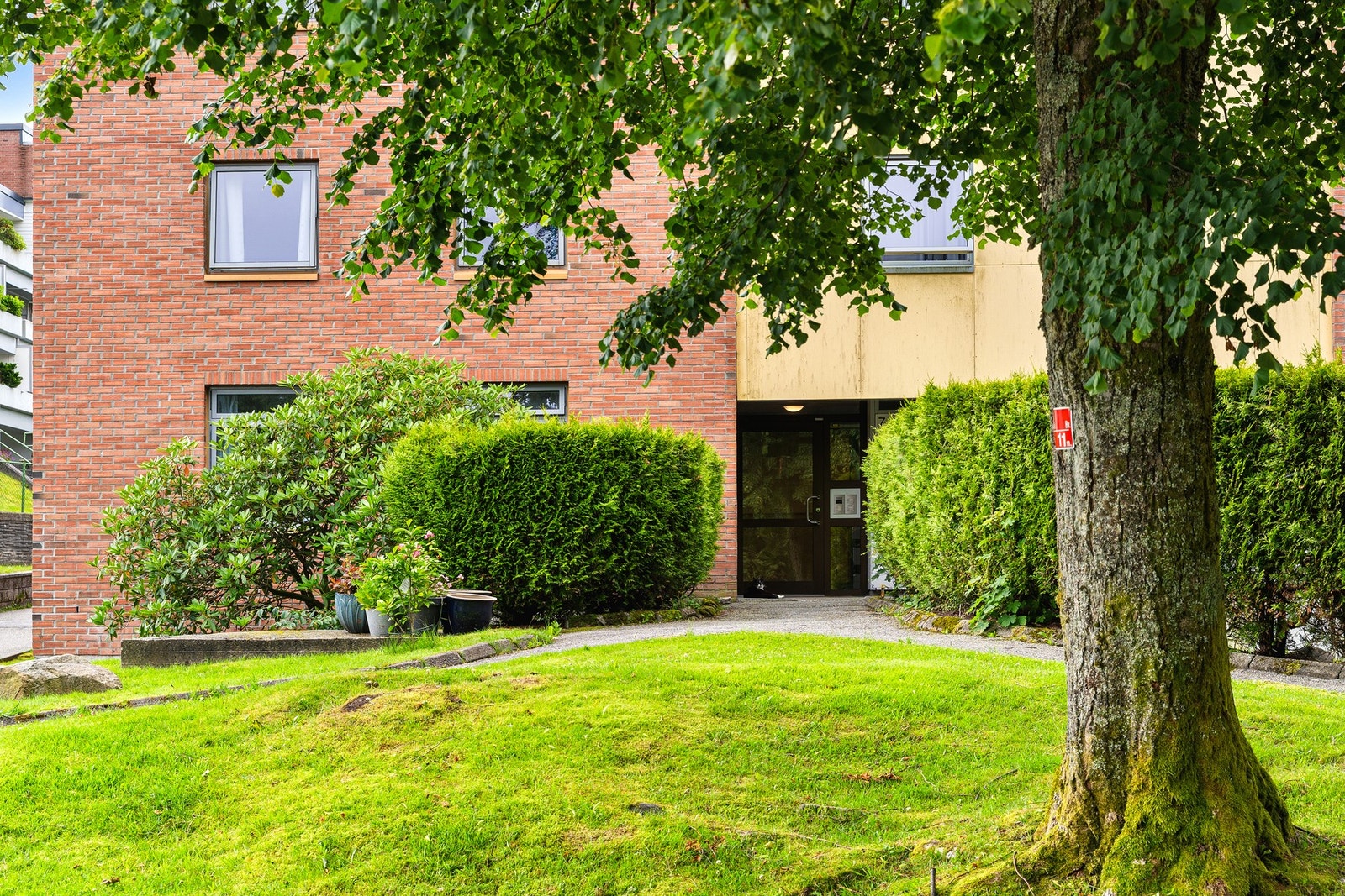 Flotte fellesområder i borettslaget. Galleribilde